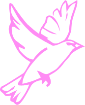 Pink illustration of a bird