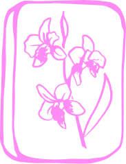 Pink illustration of a flower mahjong card