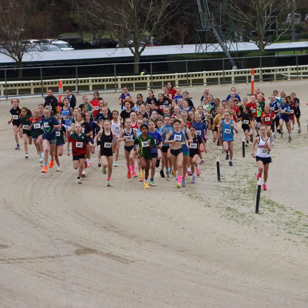 A large group of young girls participating in a cross country race on a sandy track, wearing athletic clothing and numbered bibs.