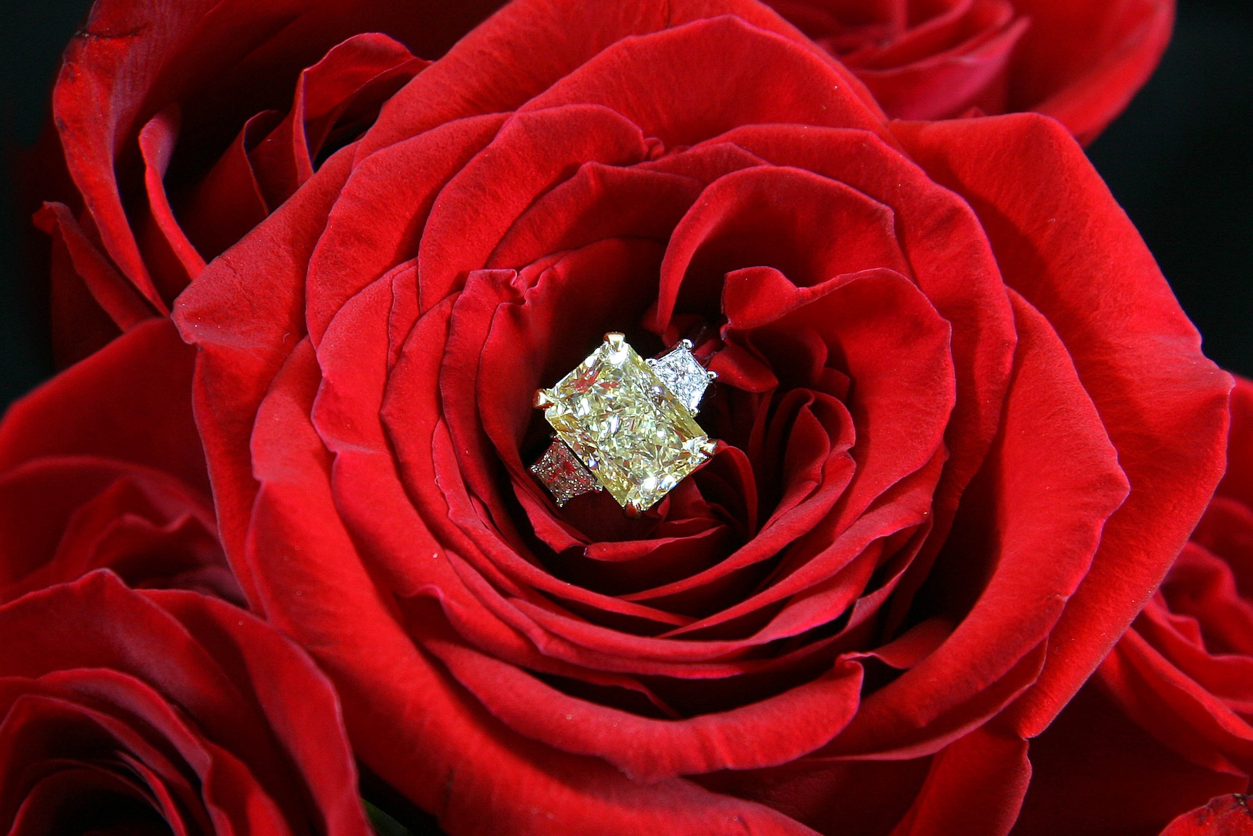 roseandyellowdiamondrectanglemacro.jpg