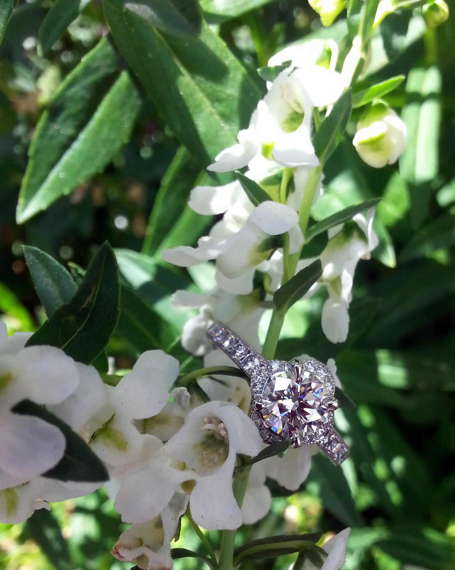 20150708_110833.jpg