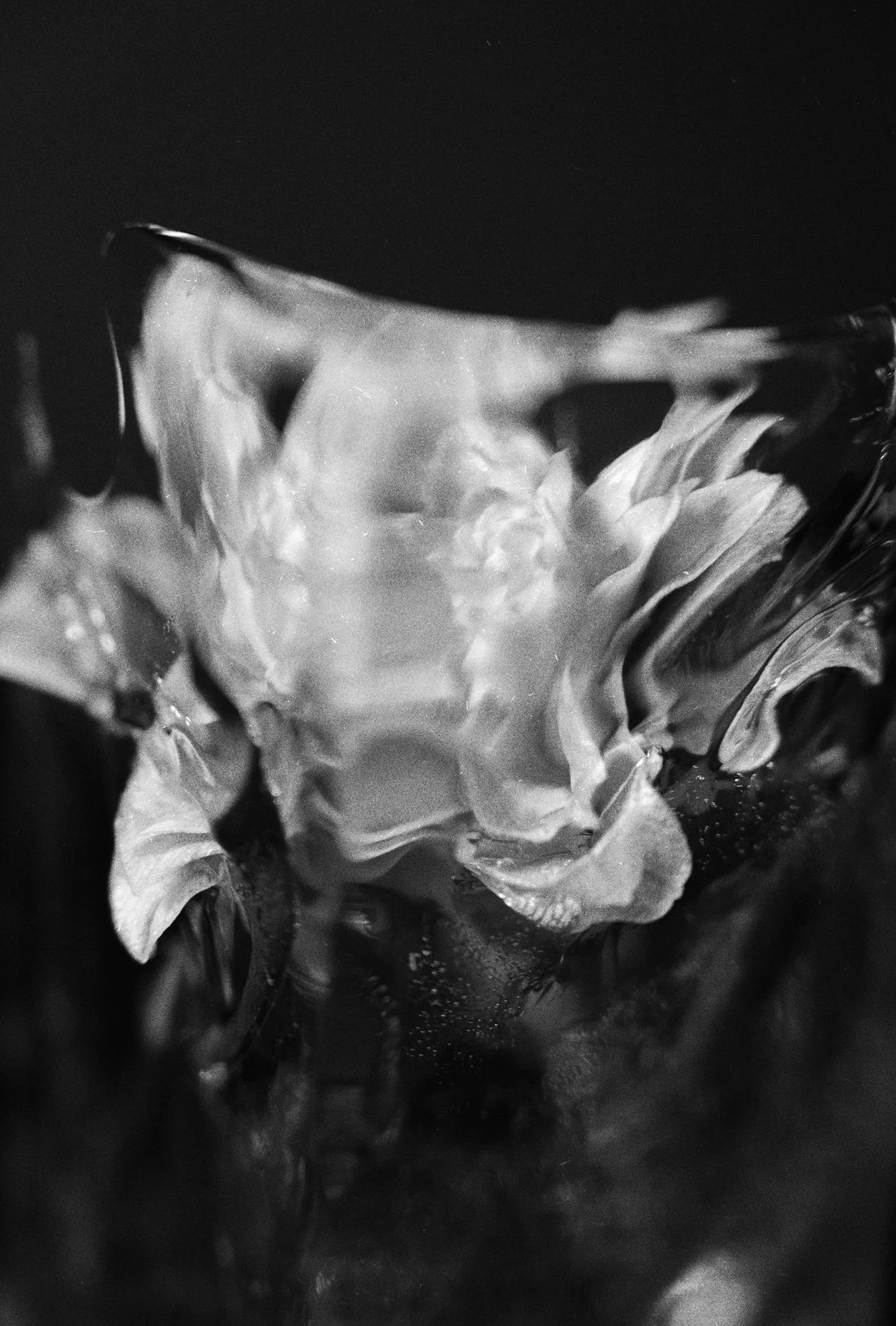 Untitled-1 copy3 copy.jpg