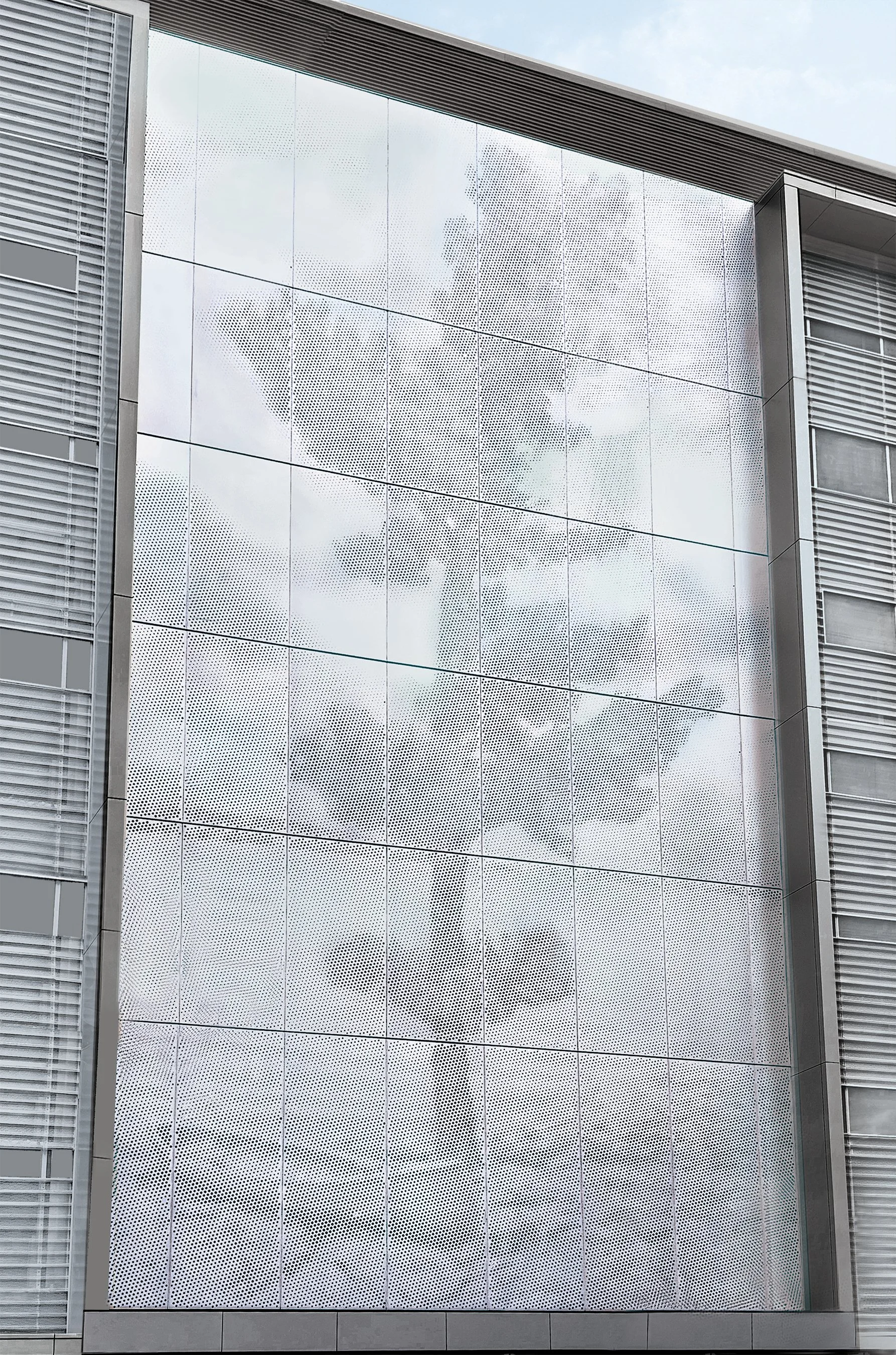 The Great Pine