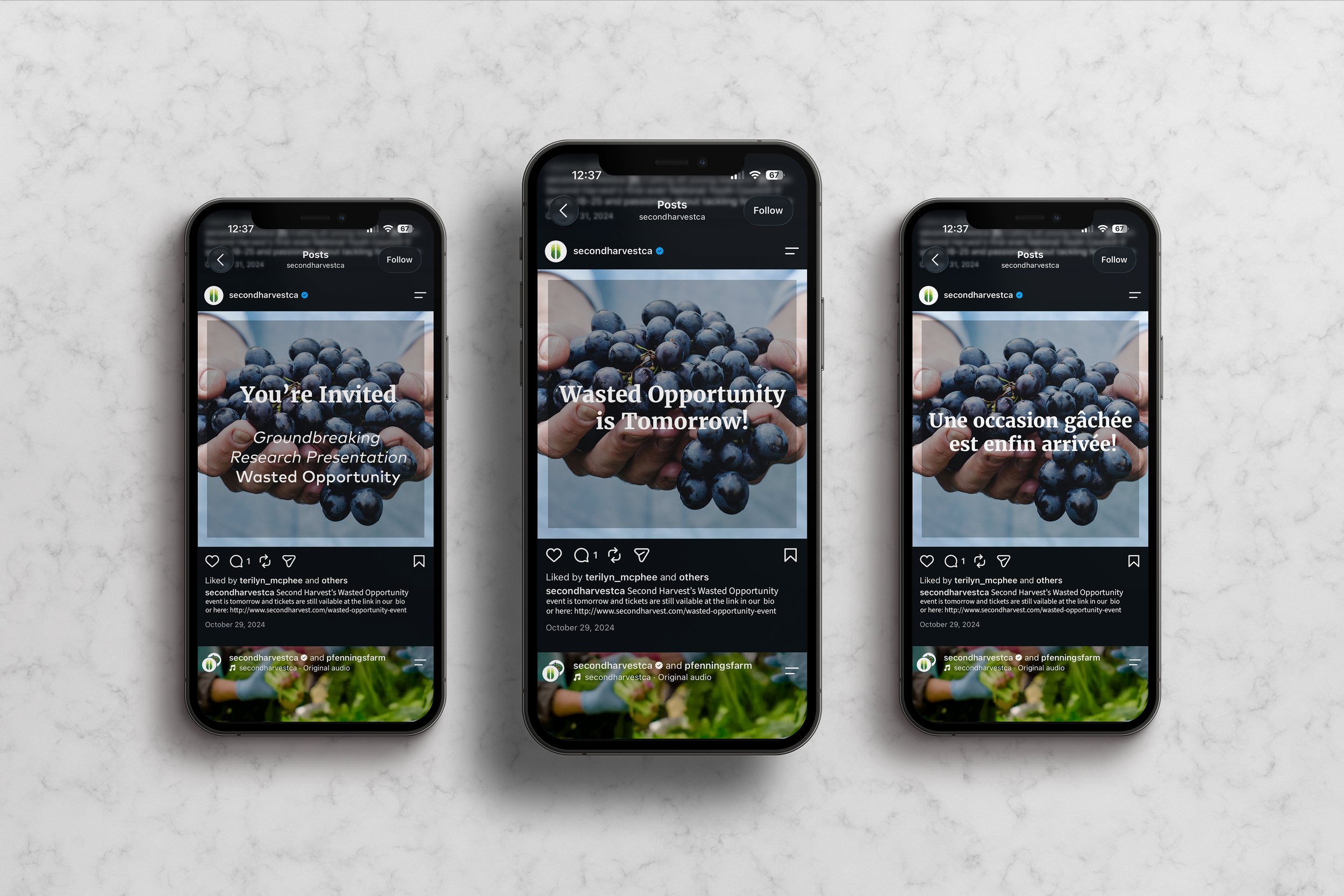 Second Harvest Mockup.png