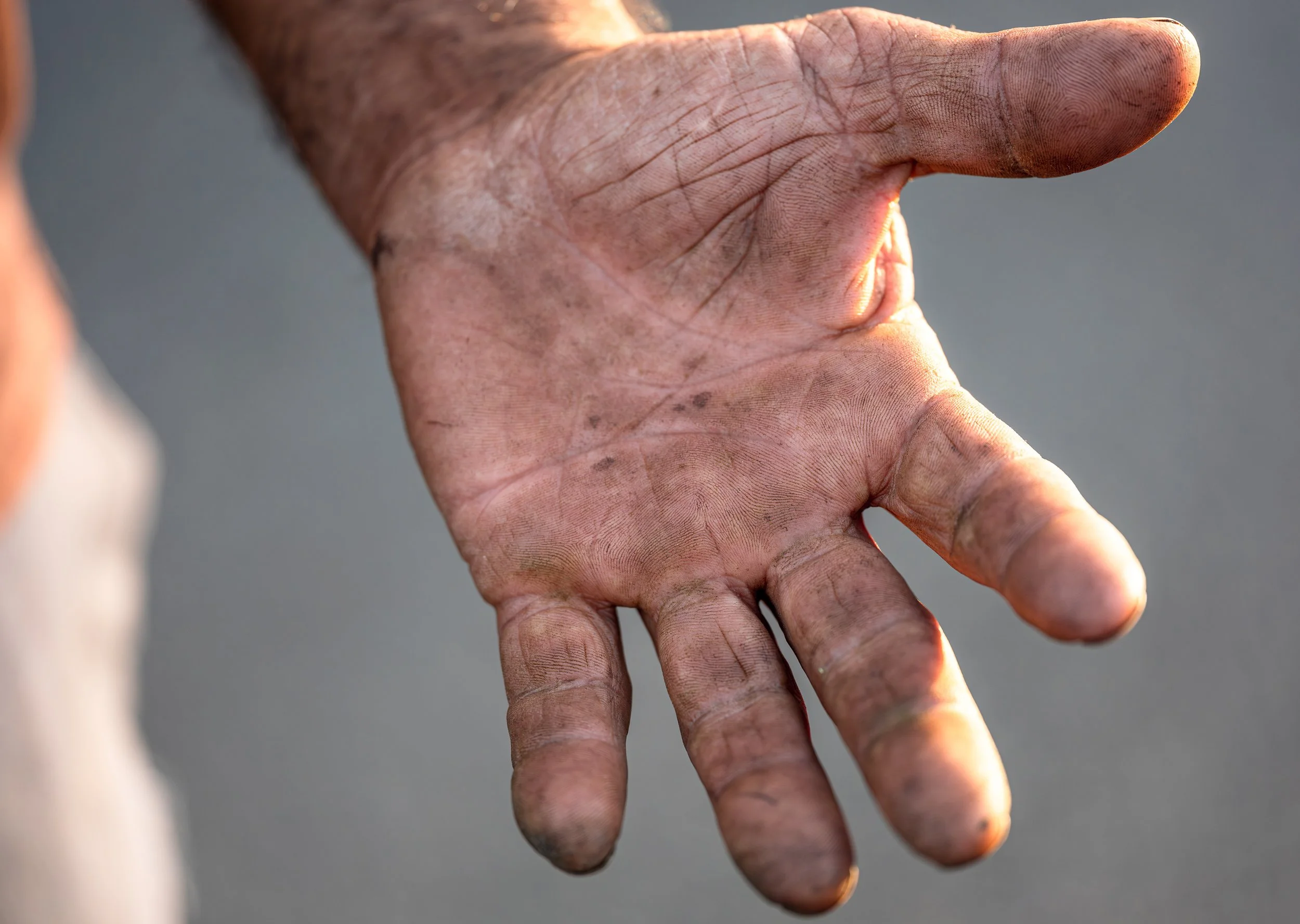  Hands of the Earth IV, 2022-2024