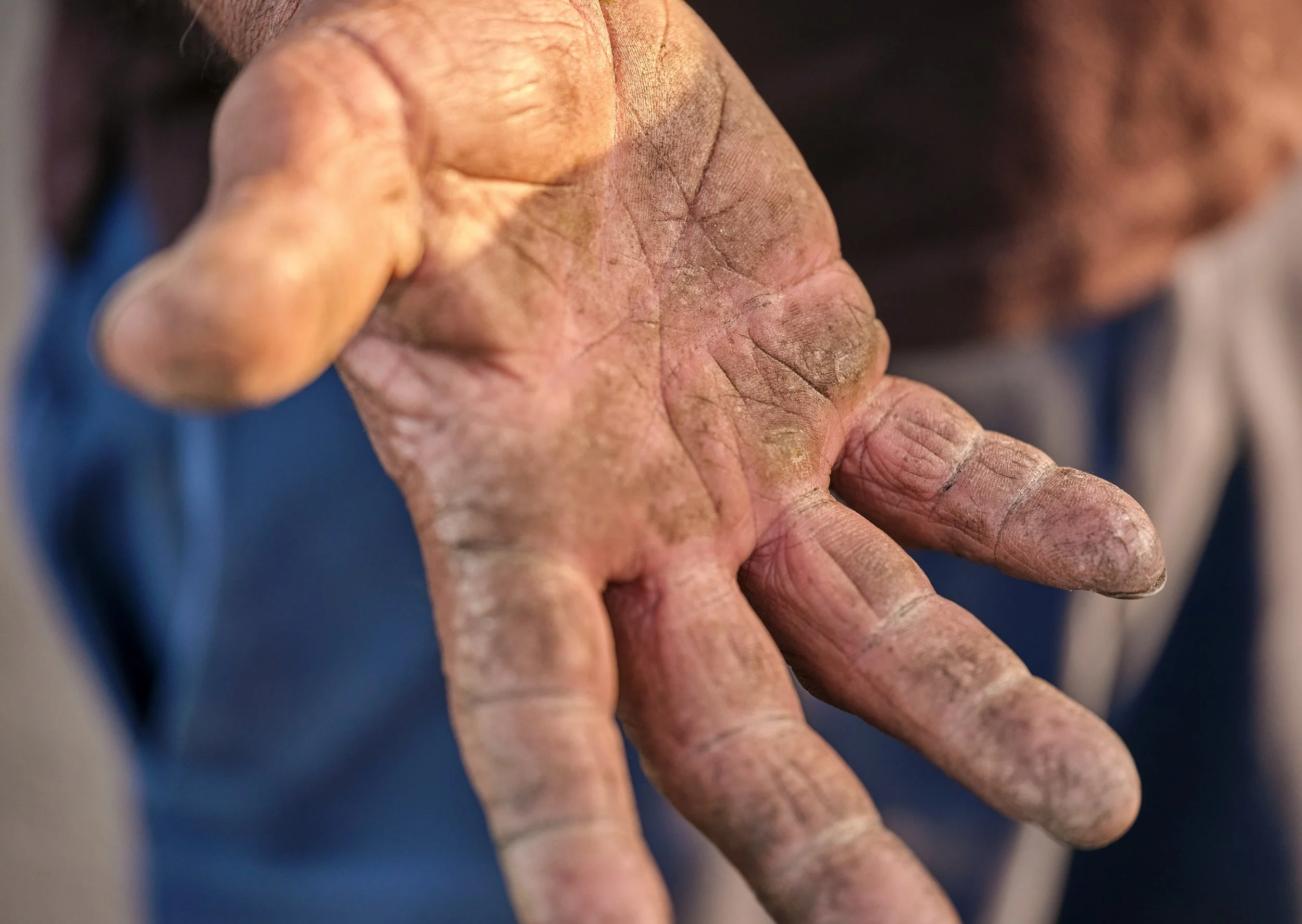  Hands of the Earth I, 2022-2024