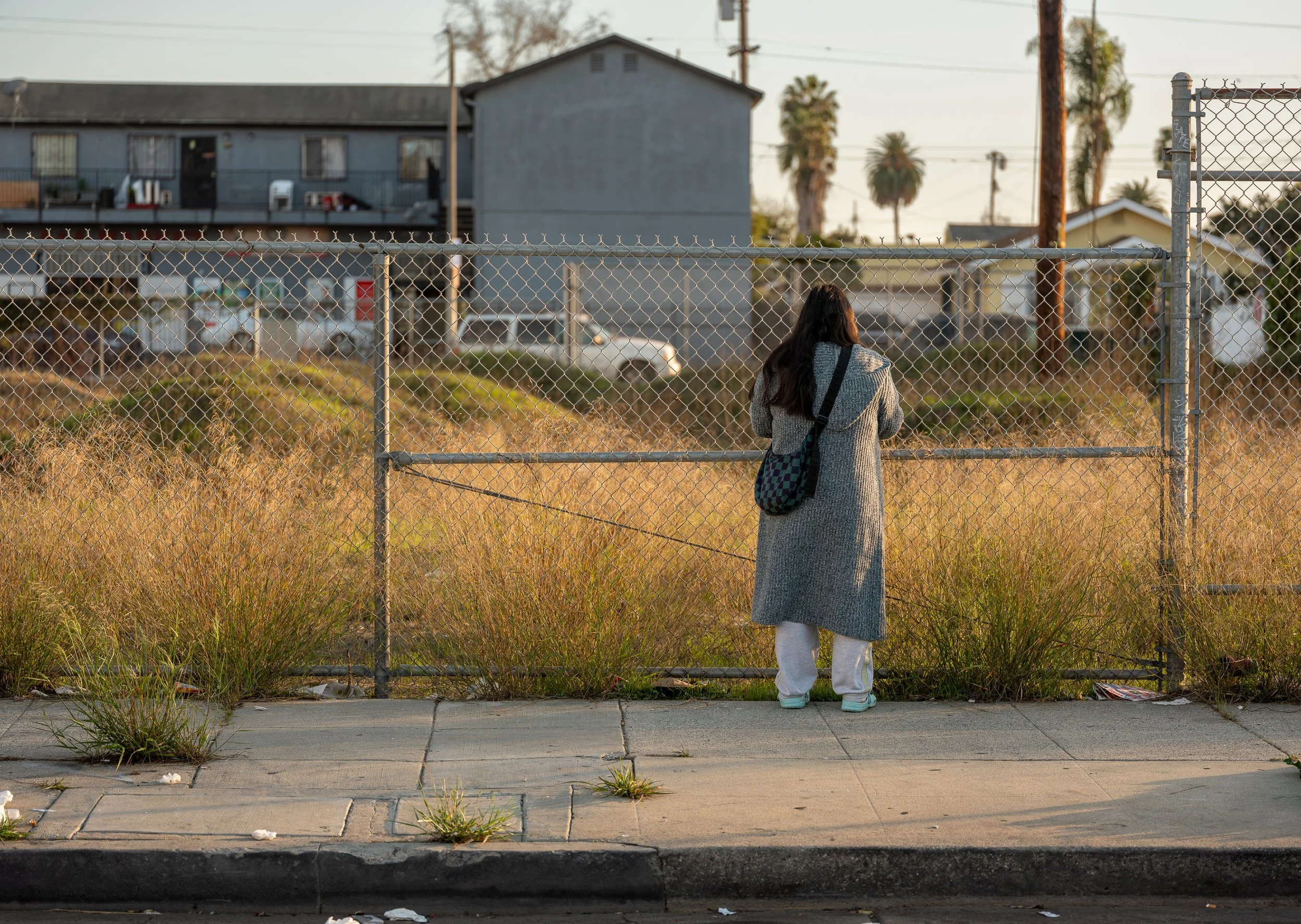 Normandie Avenue South Los Angeles, 2025