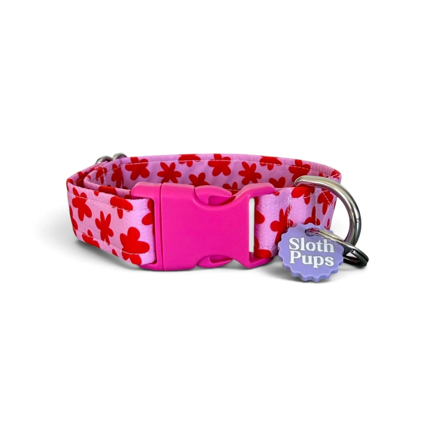 Front View Plastic Buckle .jpg