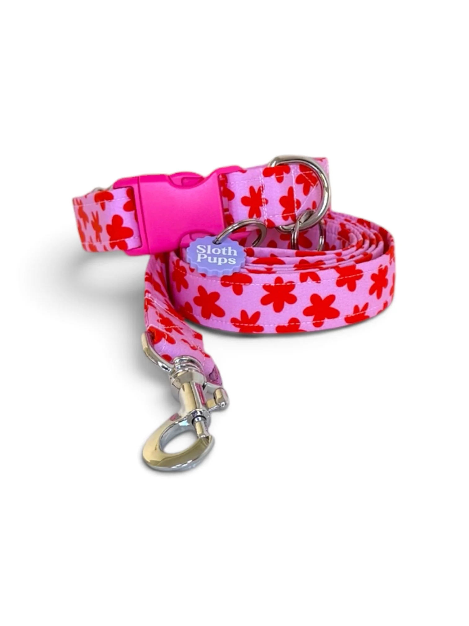 Collar and leash (1).jpg