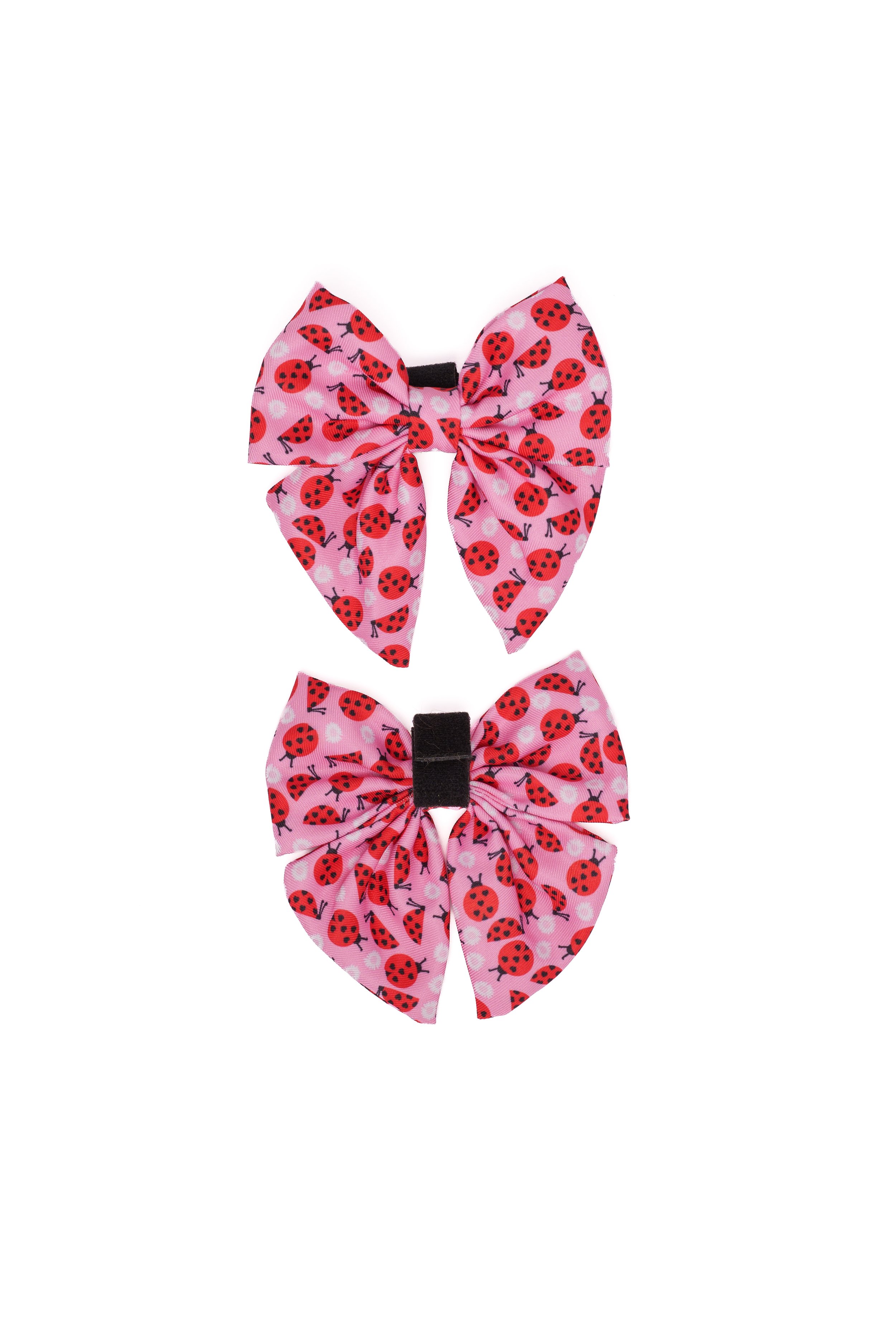 Ladybug Front and Back.jpg