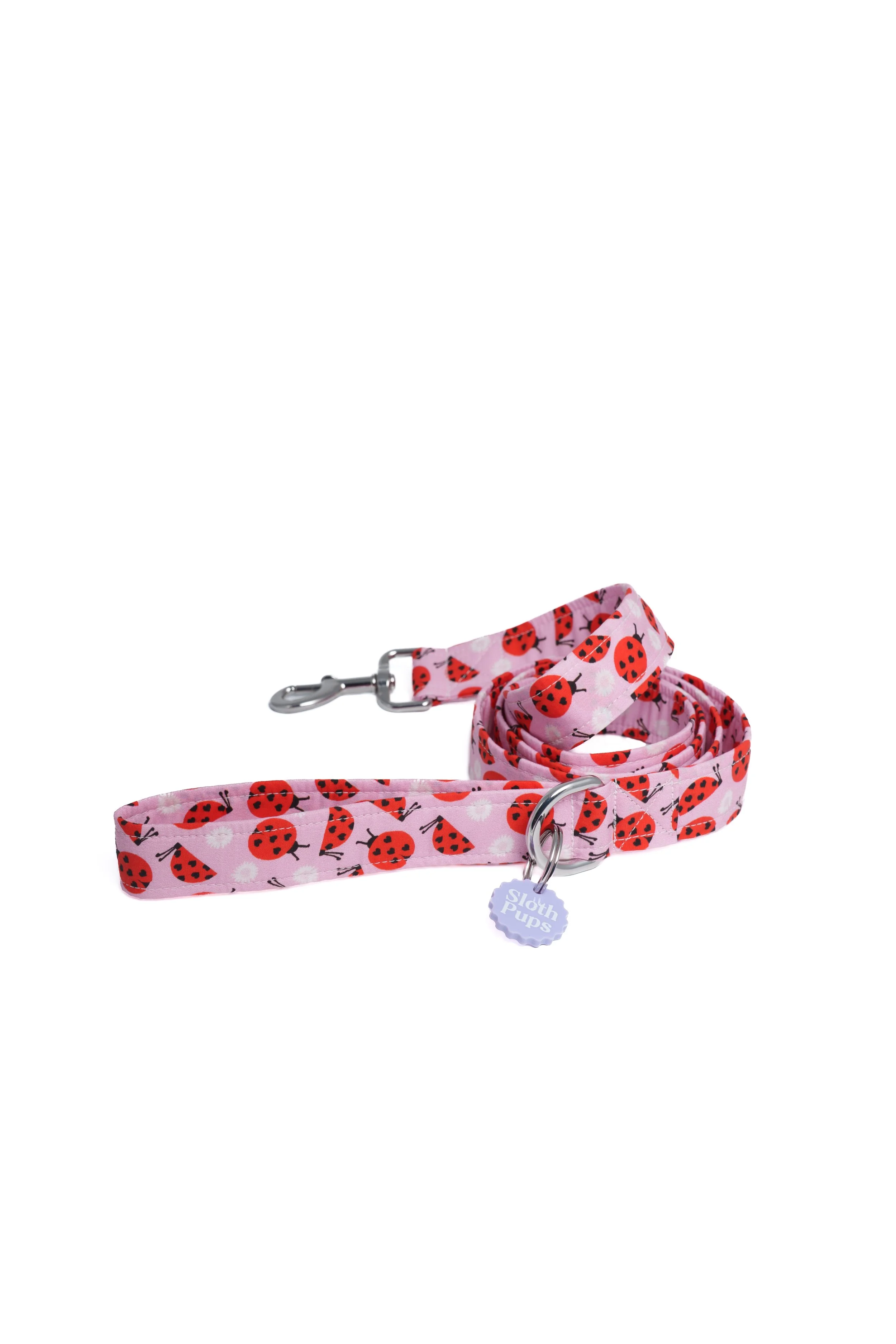 Ladybug Artist View.jpg