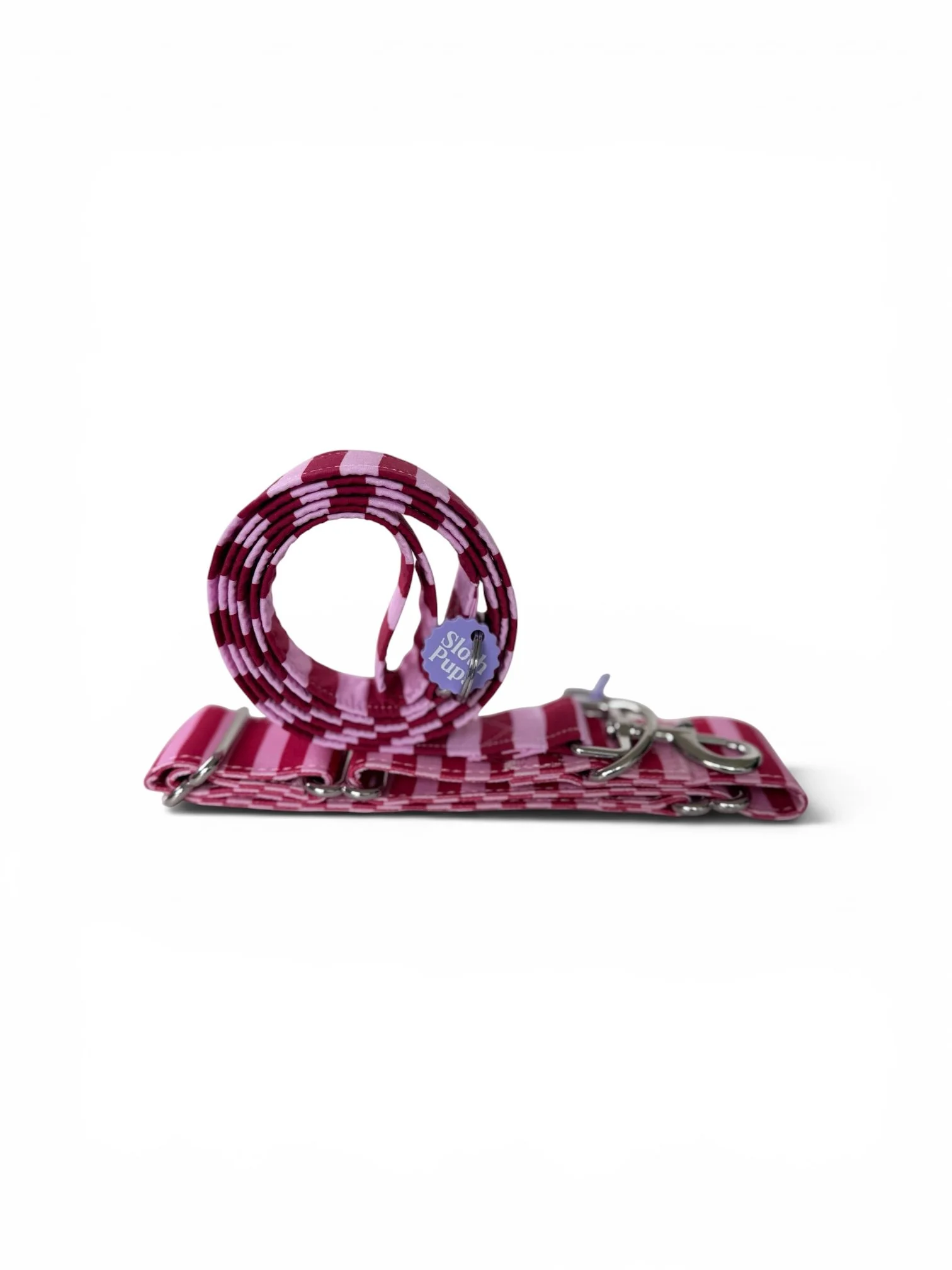 Snail Rolled leash and Martingale.jpg