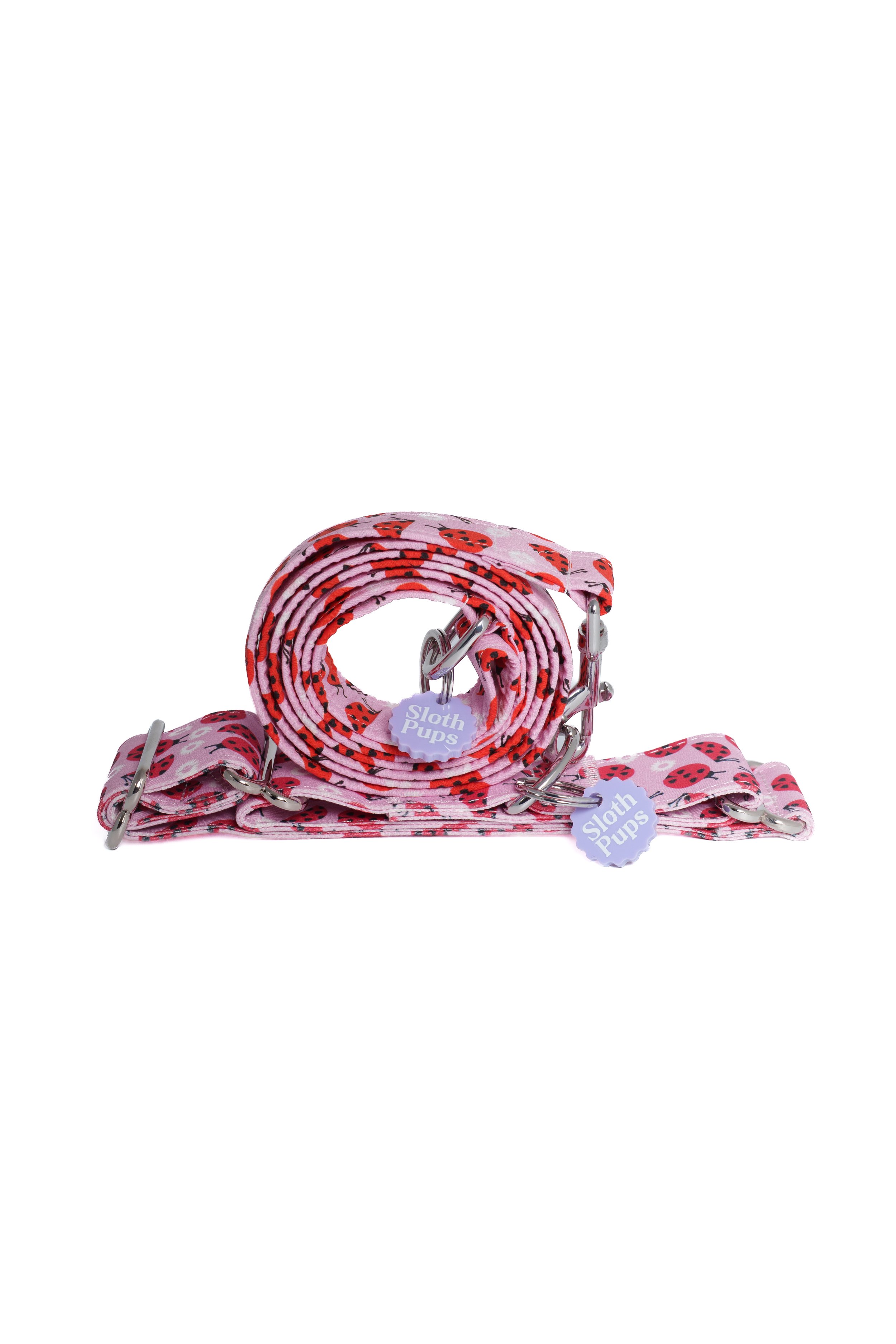 Ladybug Rolled leash and flat lay collar.jpg