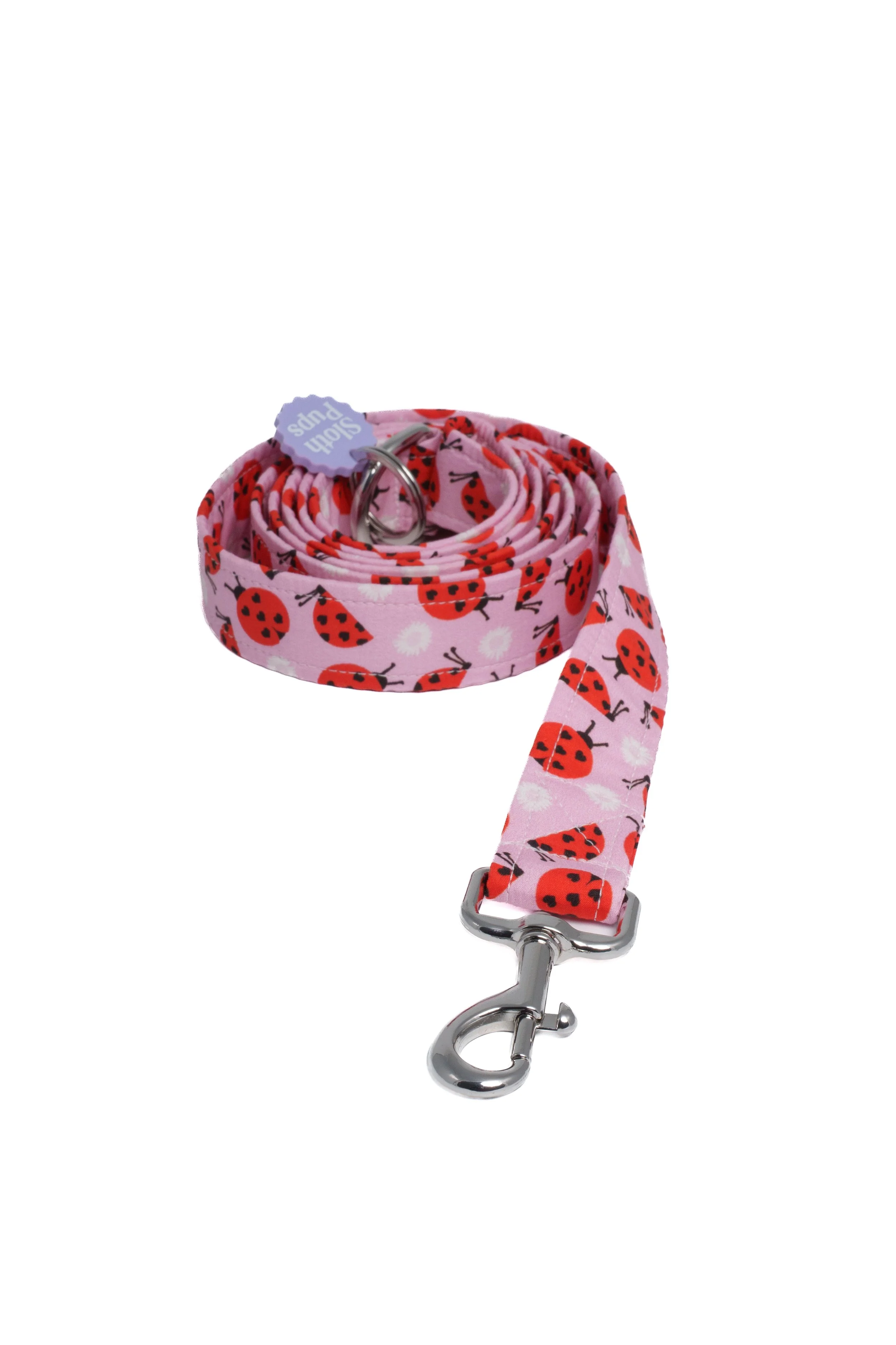 Ladybug Curled Frontal View.jpg