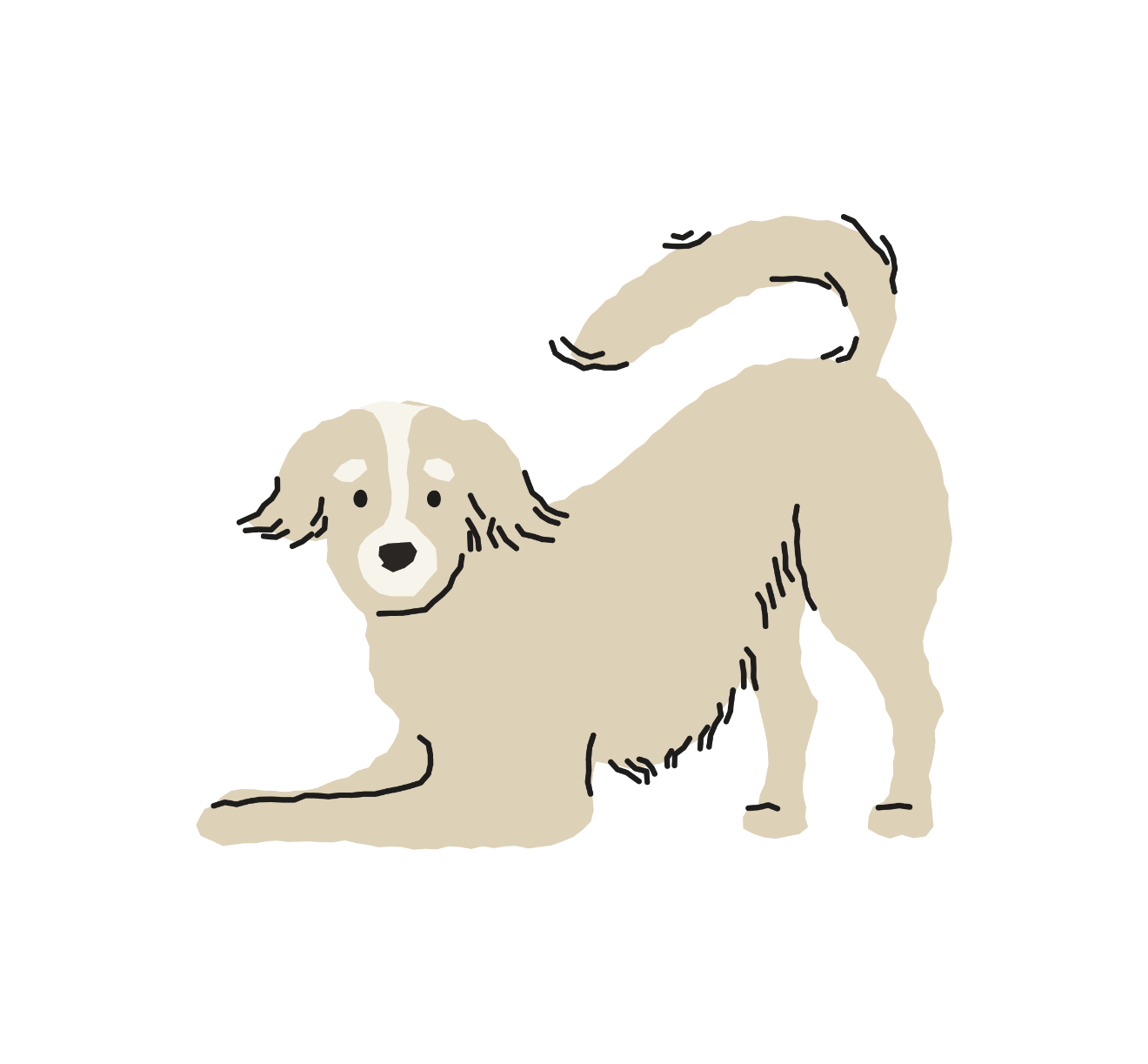 Illustration of a beige dog with floppy ears lying down, with a darker tail, against a black background.