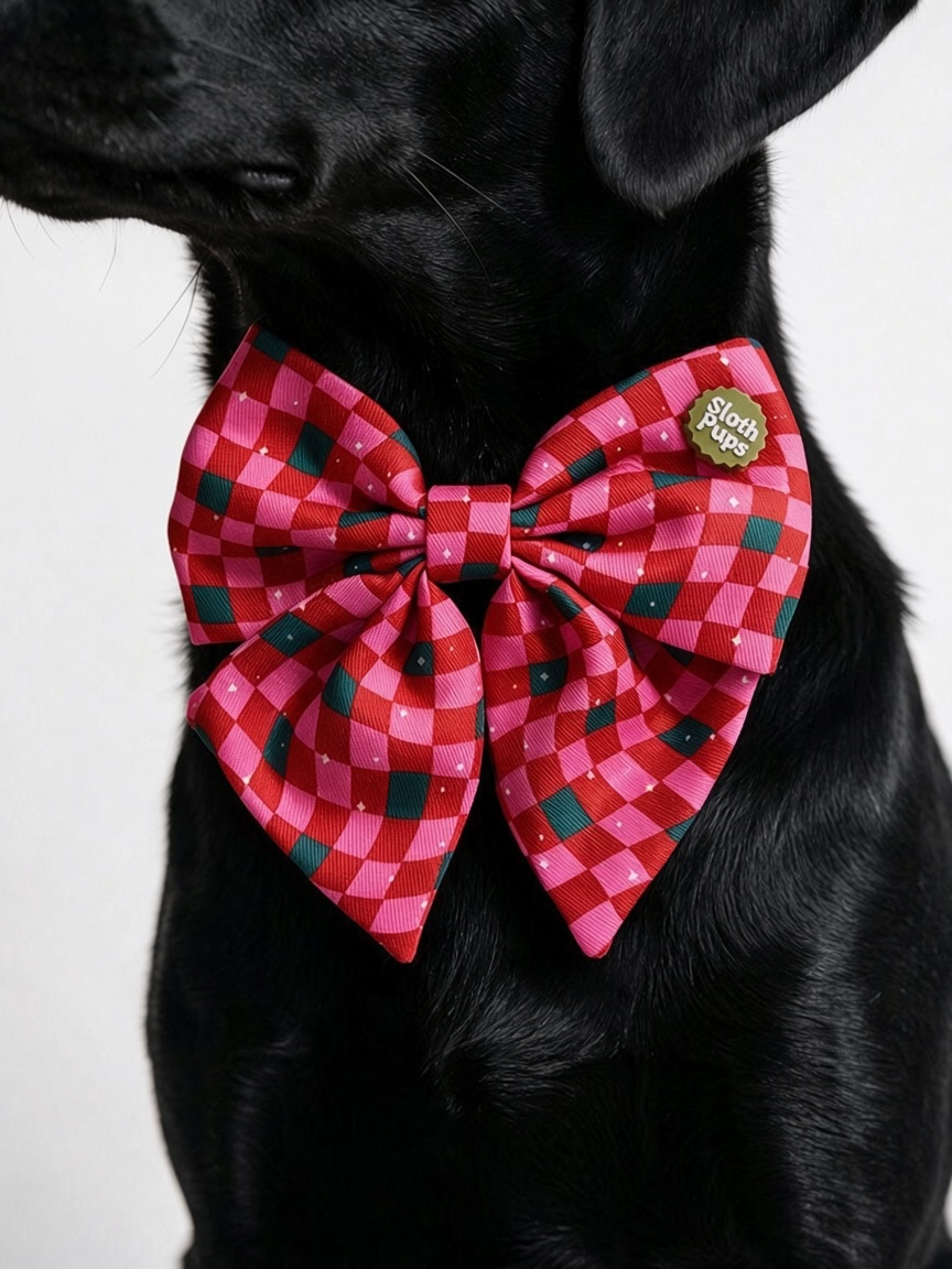 All black dog wearing bow.PNG