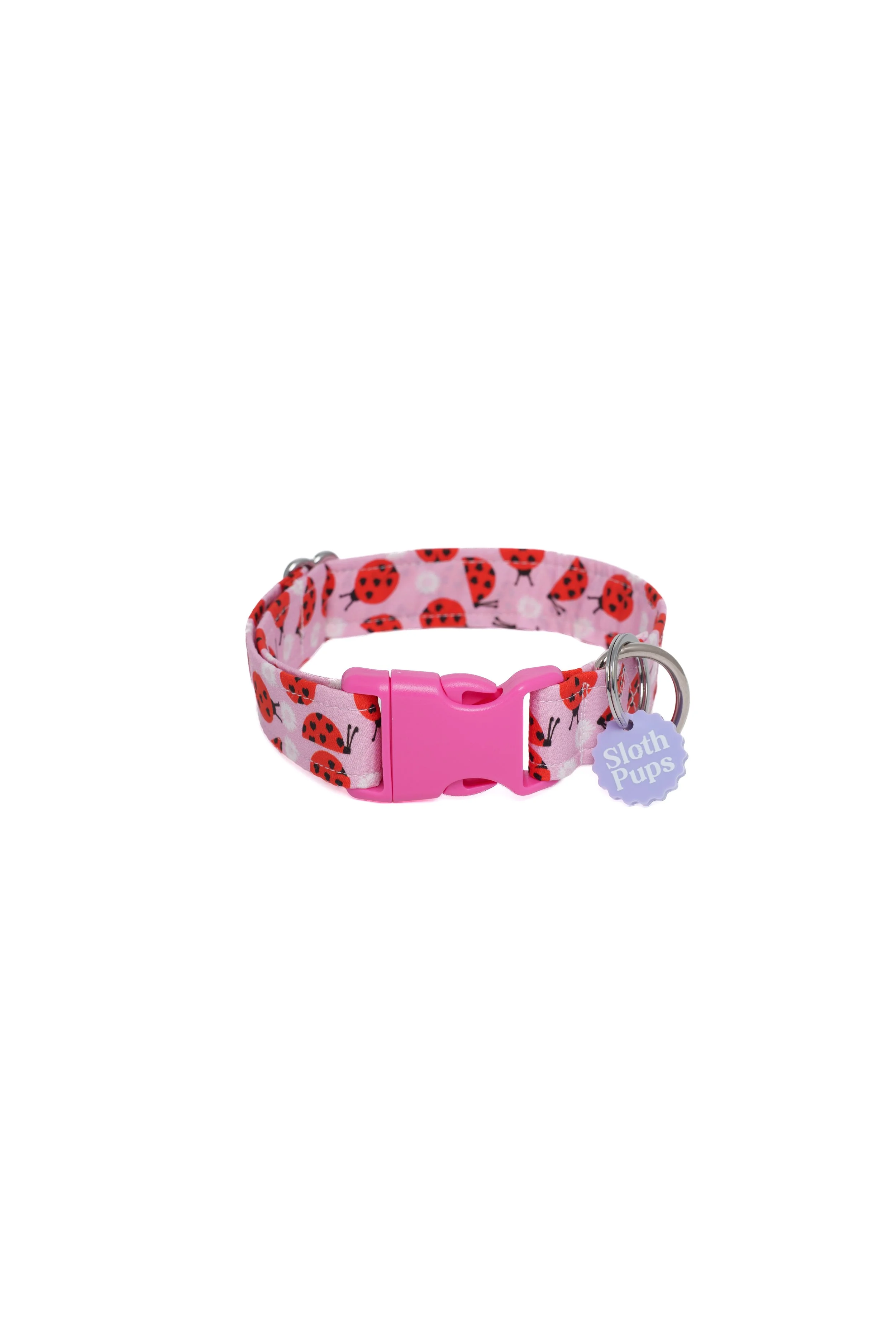 Ladybugs Full Frontal (Plastic Buckle Collar.jpg
