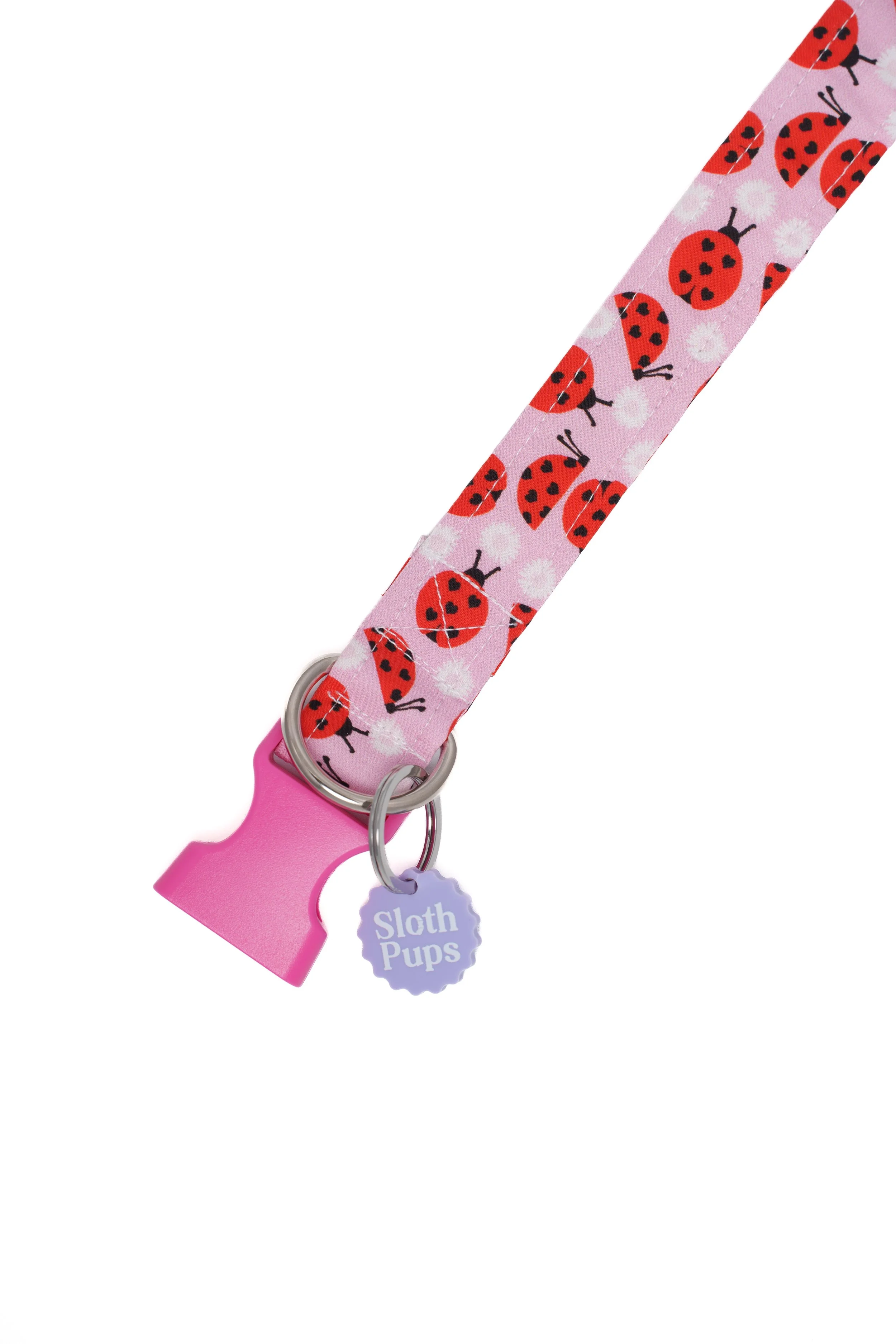 Ladybug Flat Lay Angled Birds Eye view.jpg