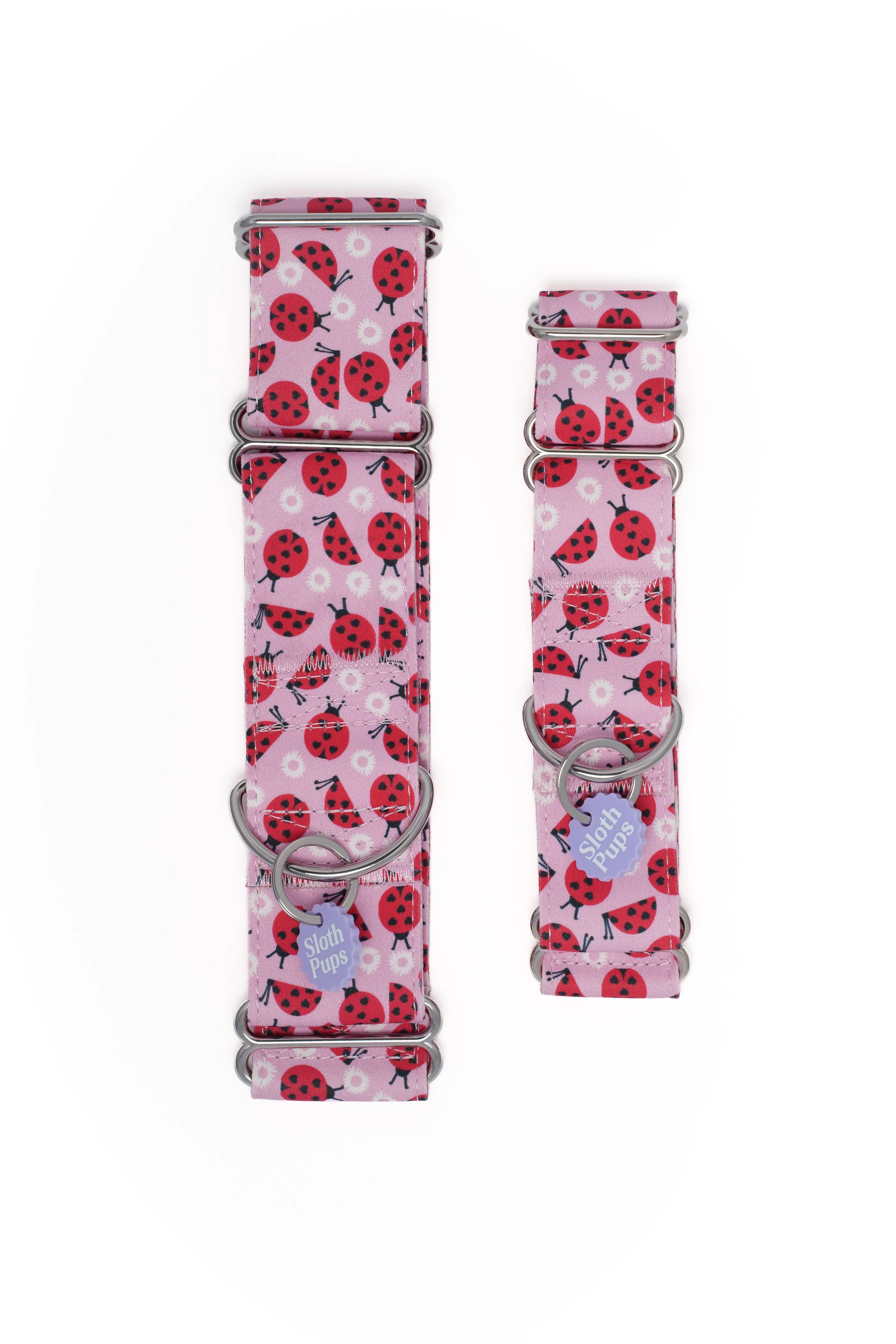 Ladybug Garden Party Dog Martingale Collar