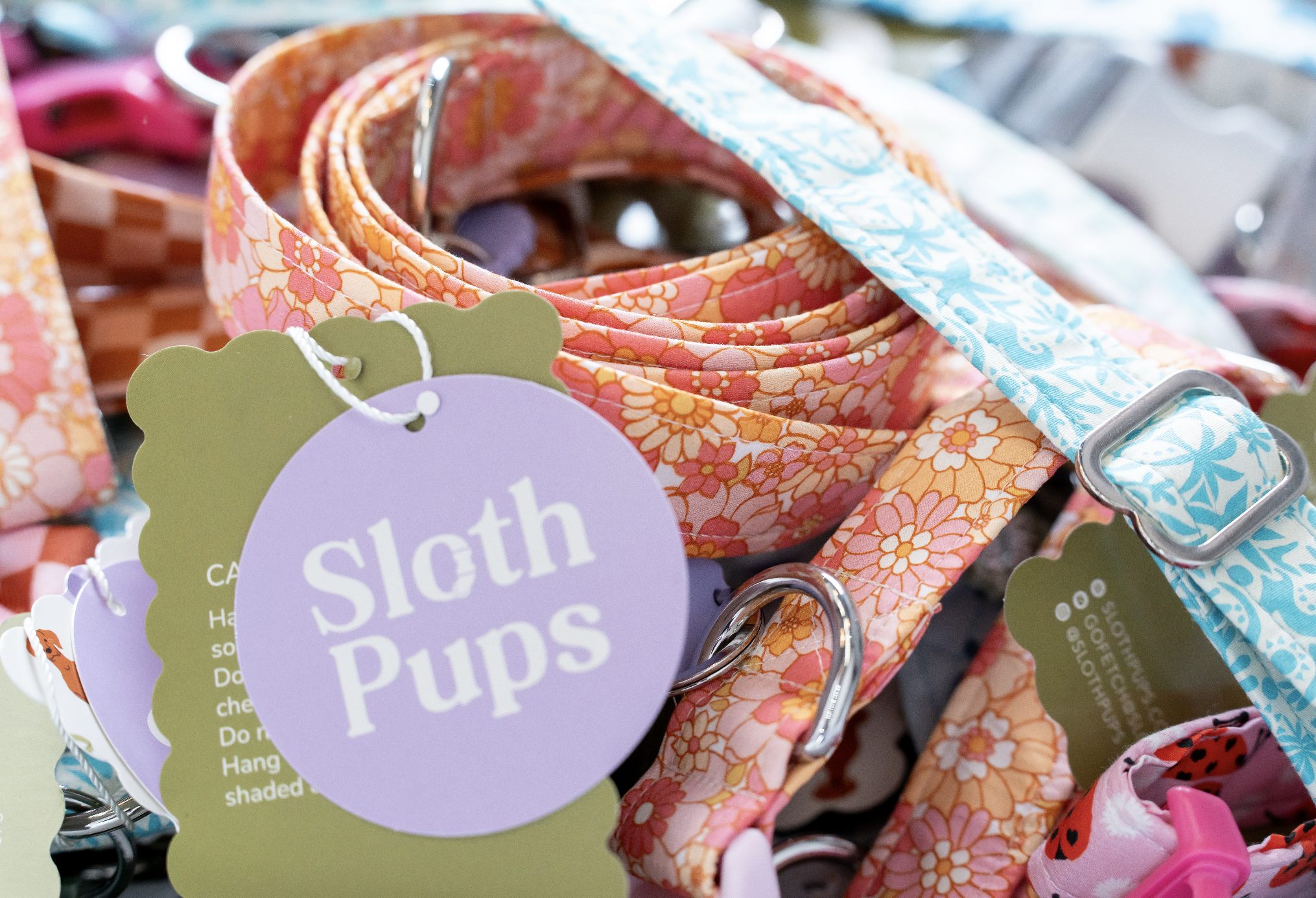 Close-up of colorful fabric dog collars with attached tags and metal buckles, arranged in a display.