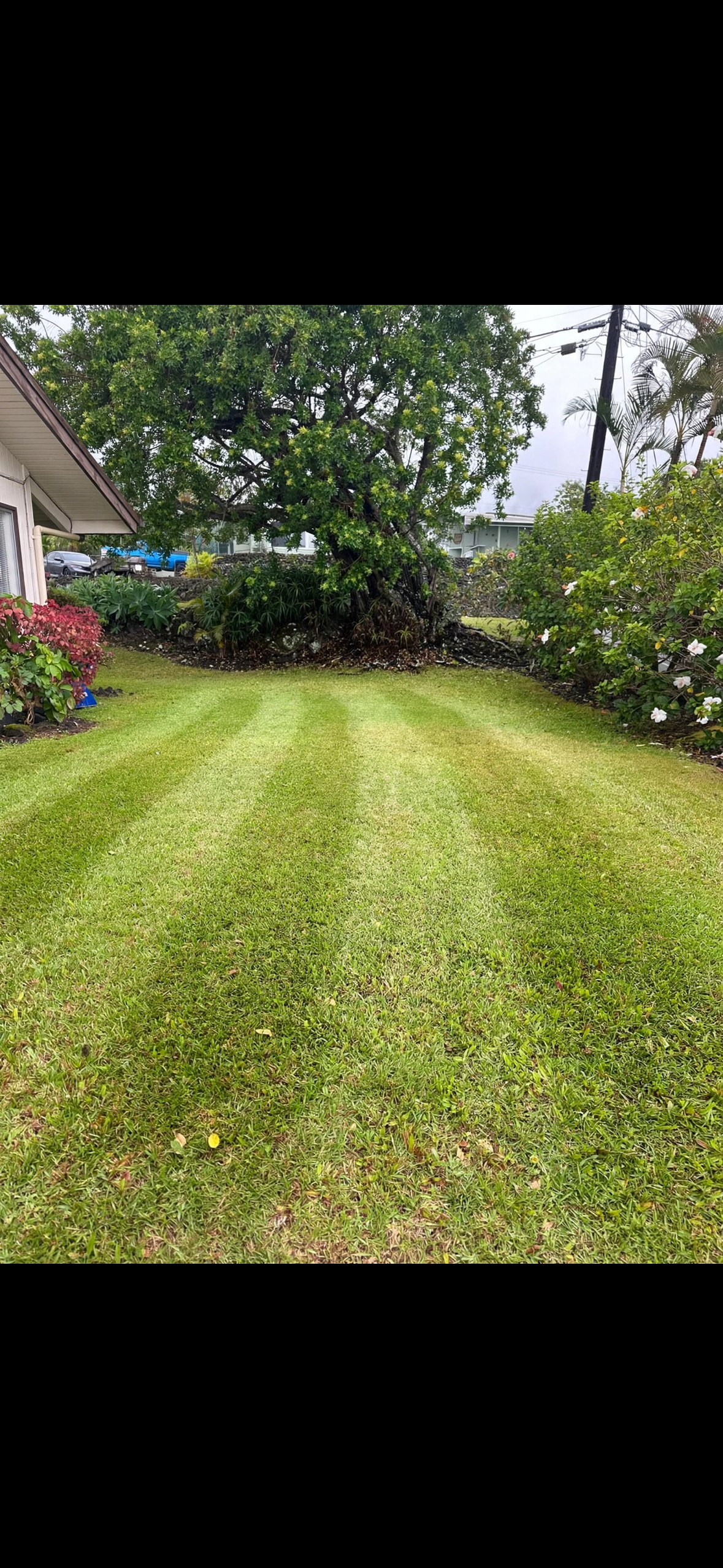 Full-Service Yard Maintenance