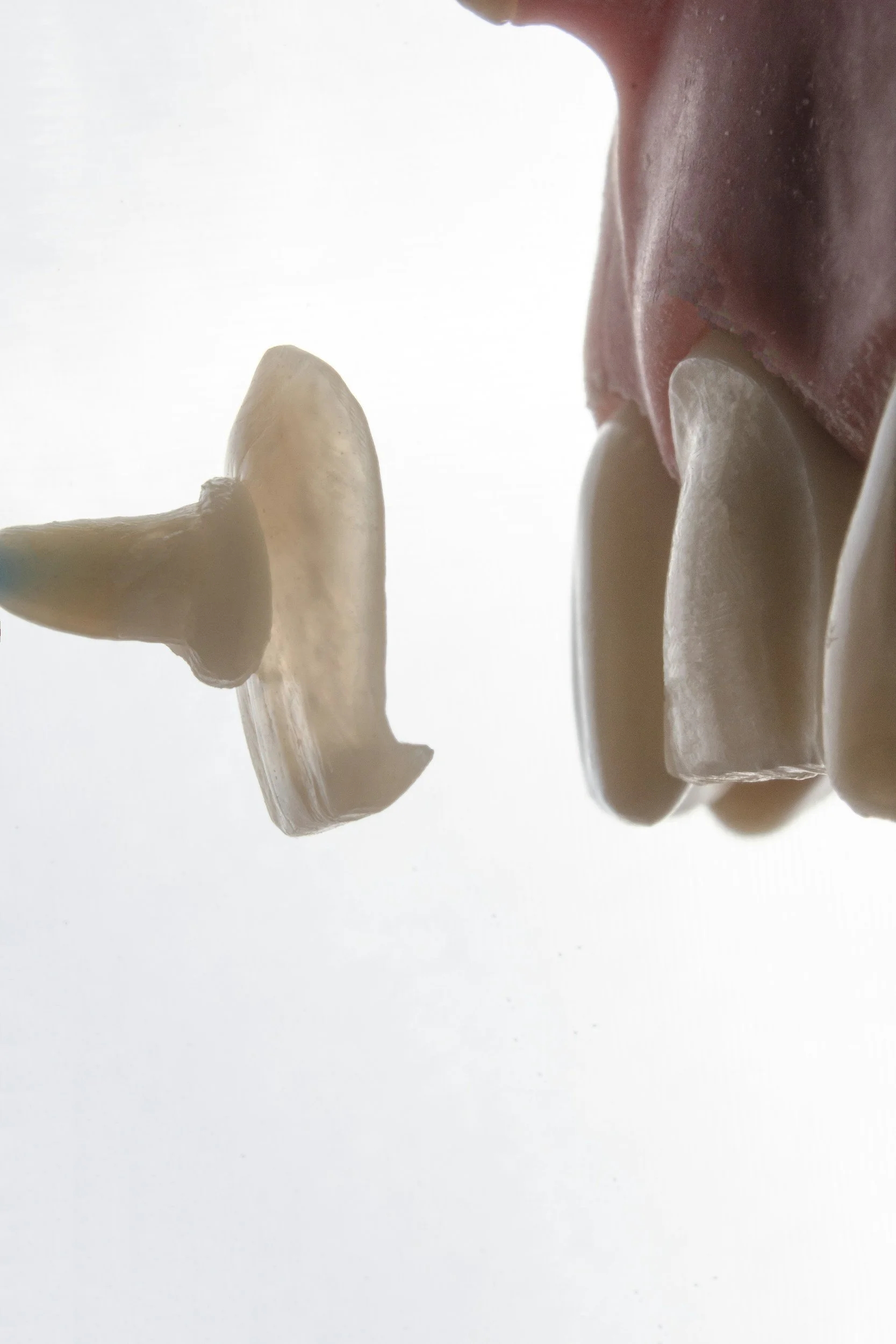 Close-up of a person's mouth in profile with the tongue touching teeth, and a row of light-colored artificial teeth.