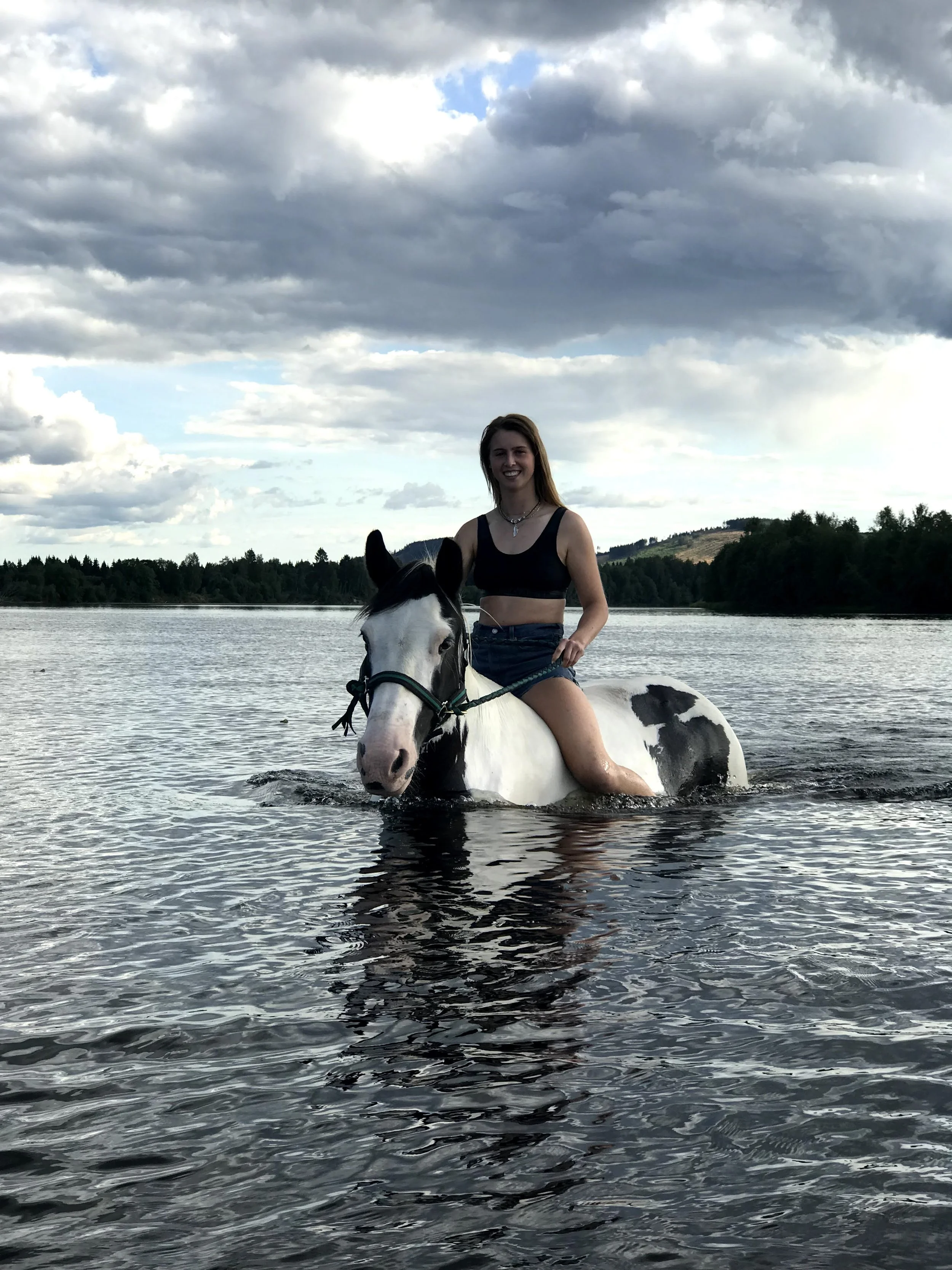 working on a horse ranch in sweden