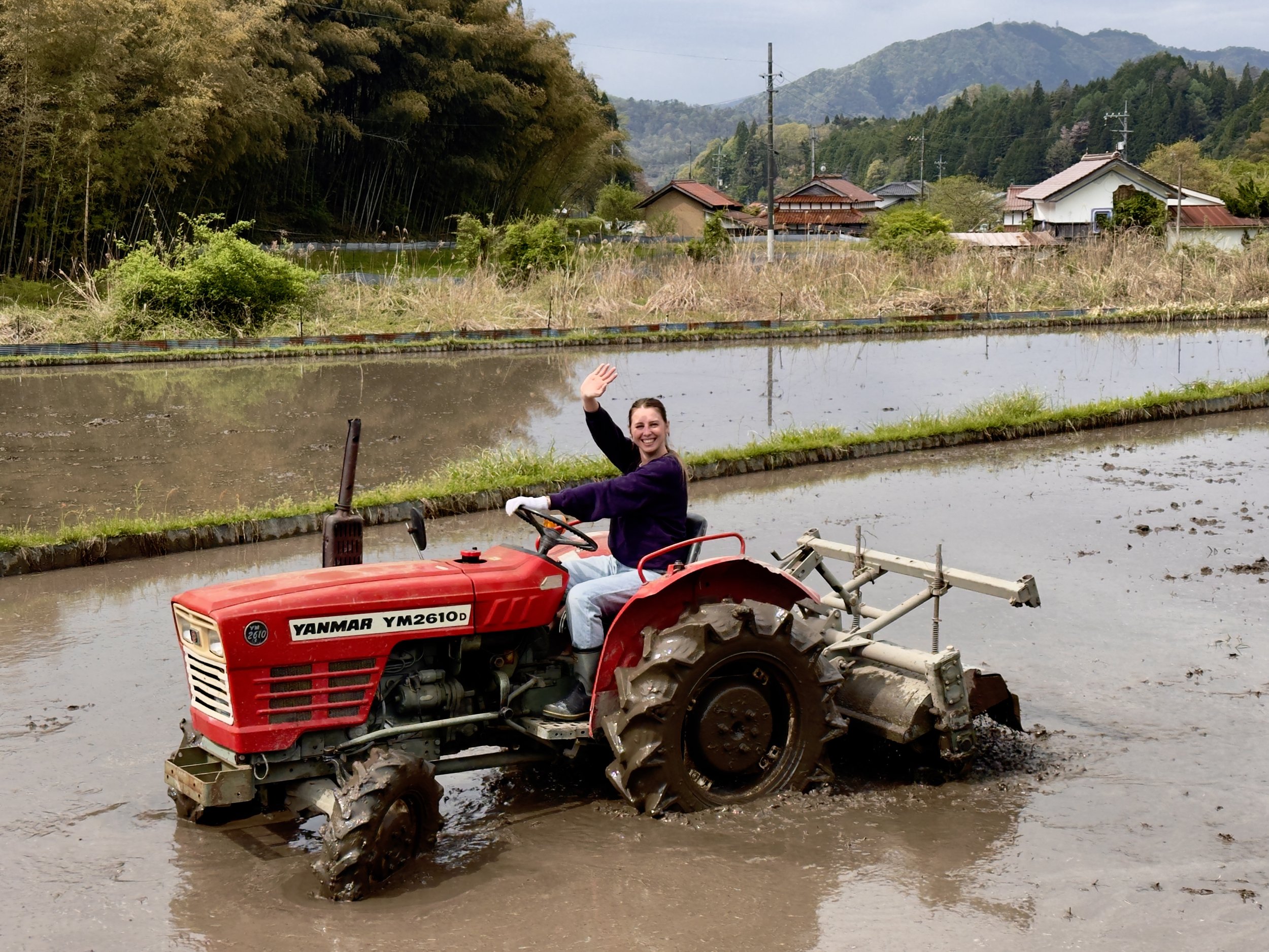 Working on the countryside of japan during a working holiday visa