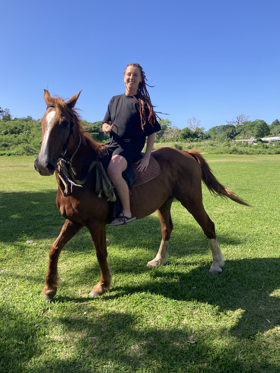 working for food and accommodation in vanuatu