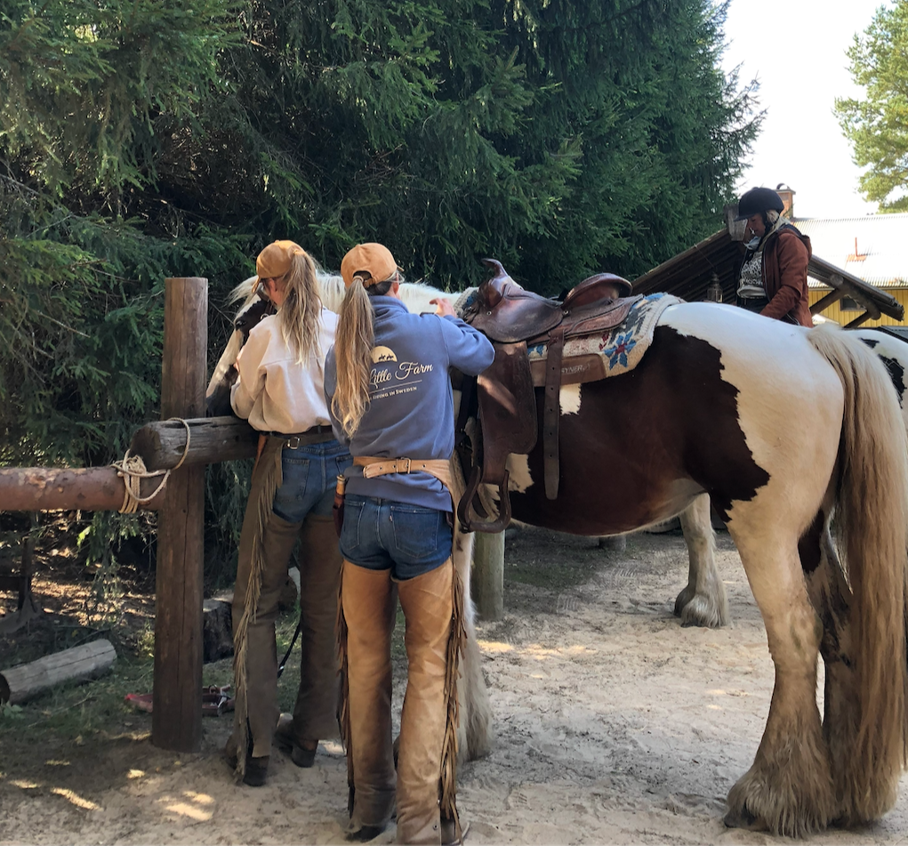 Working as a cowgirl in sweden for the summer for food and accomodation