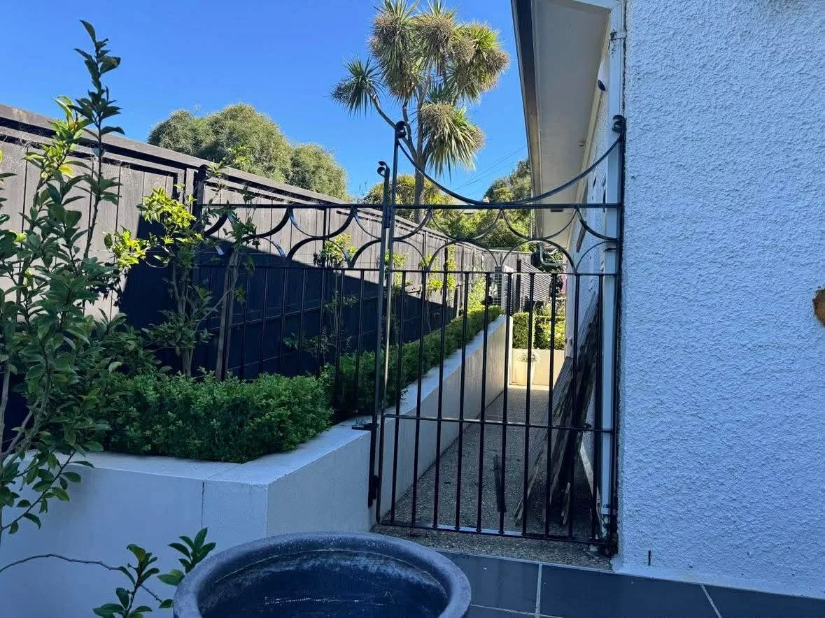 A narrow backyard side yard with a white wall and a black metal gate, surrounded by green plants and a tall palm tree, under a clear blue sky.