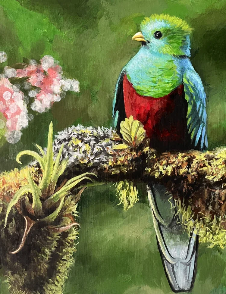 Tropical Bird by Nicole McKinney, Oil Paint on Wooden Canvas, 11 inches by 14 inches, Finished in May of 2023.