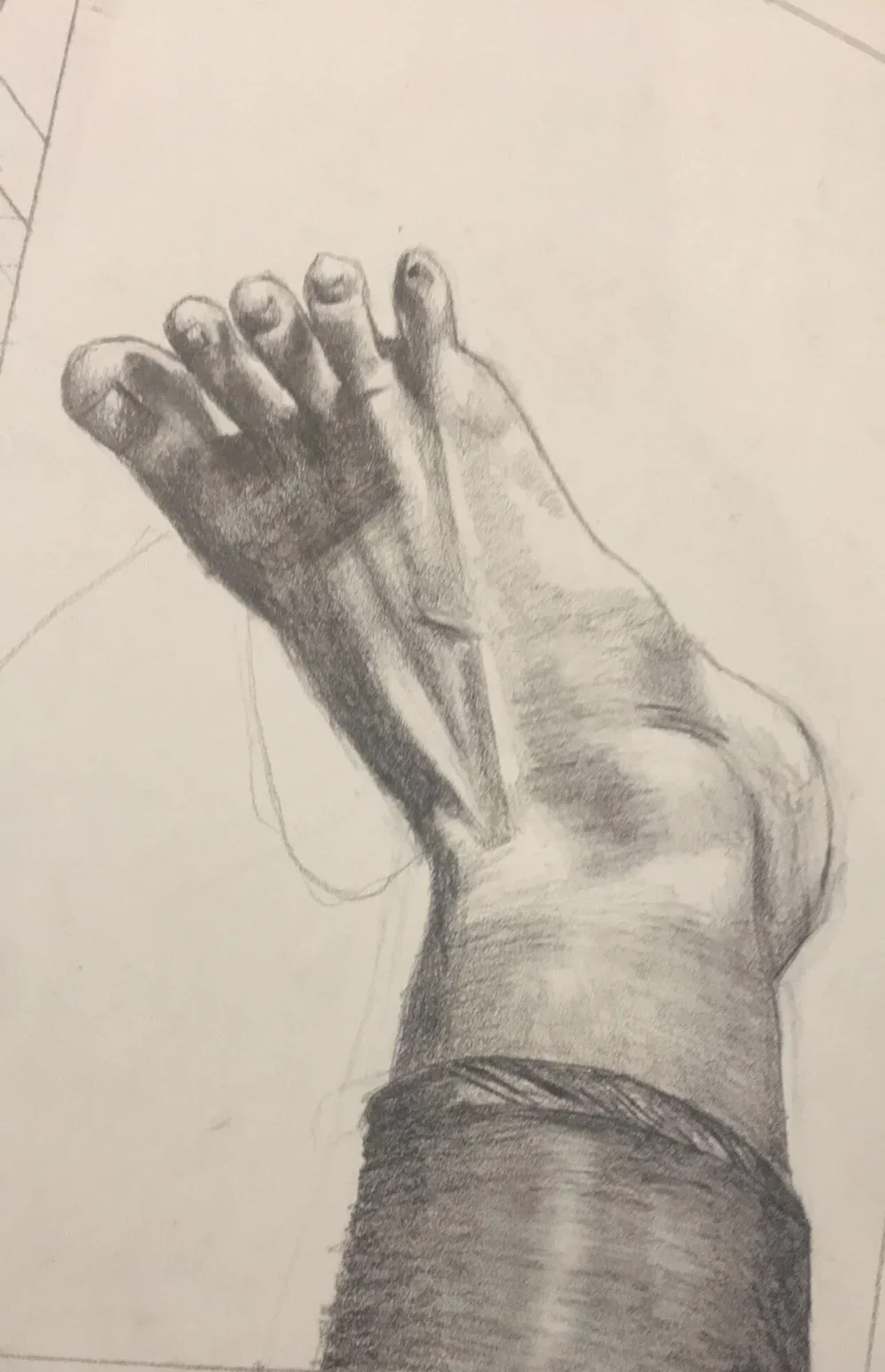 Foot Anatomy by Nicole McKinney, pencil on drawing paper, 6 inches by 12 inches, finished in May 2018.