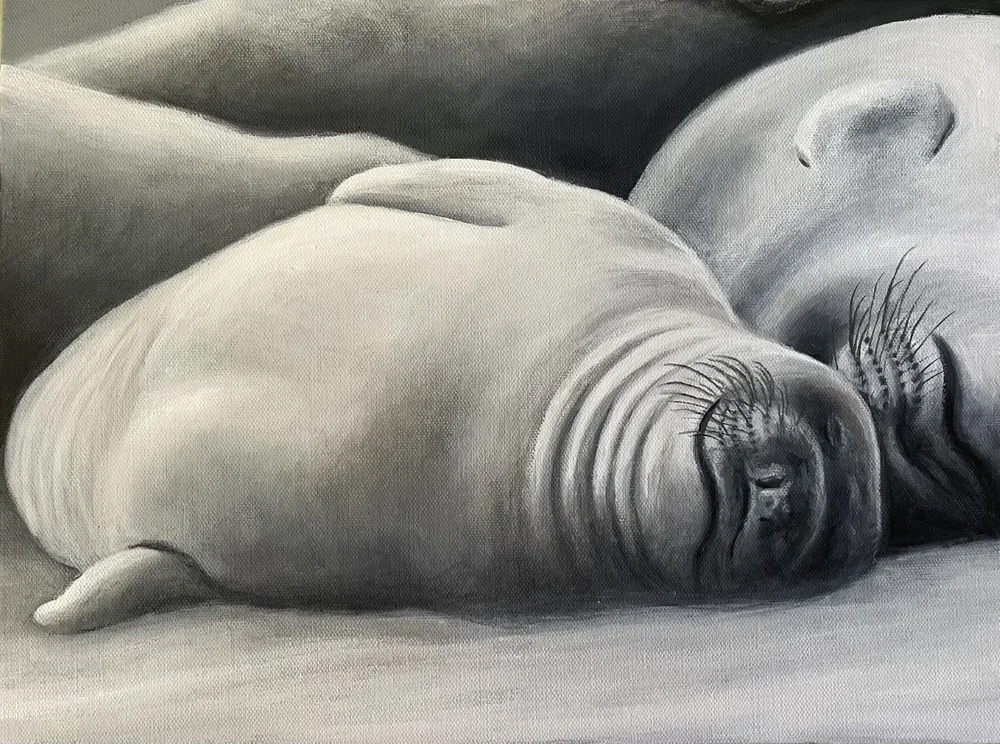 Seals By Nicole McKinney, Oil Paint on Canvas, 12 inches by 16 inches, Finished in July 2022. This painting is based off a photograph by Samantha Kreling.