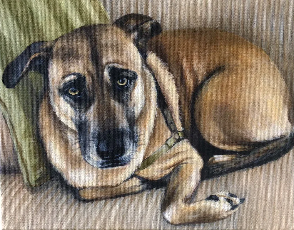 Puppy dog eyes By Nicole McKinney, Oil Paint on Canvas, 11 inches by 14 inches, finished in December 2021.