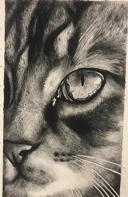 Chester by Nicole McKinney, pencil and charcoal on drawing paper, 21 inches by 12.5 inches, finished in May 2019.