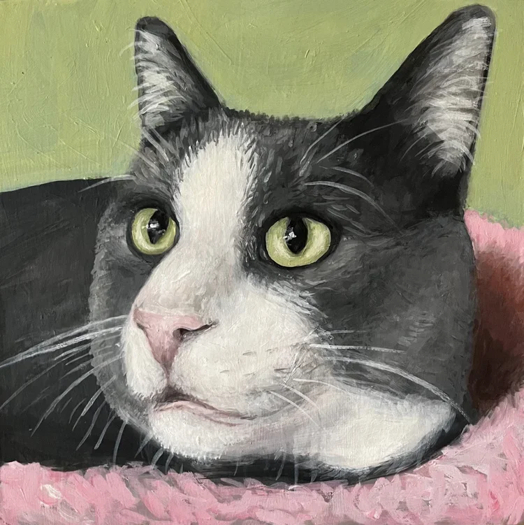 Toby By Nicole McKinney, Oil Paint on Wooden Canvas, 8 inches by 8 inches, Finished in May 2022. 