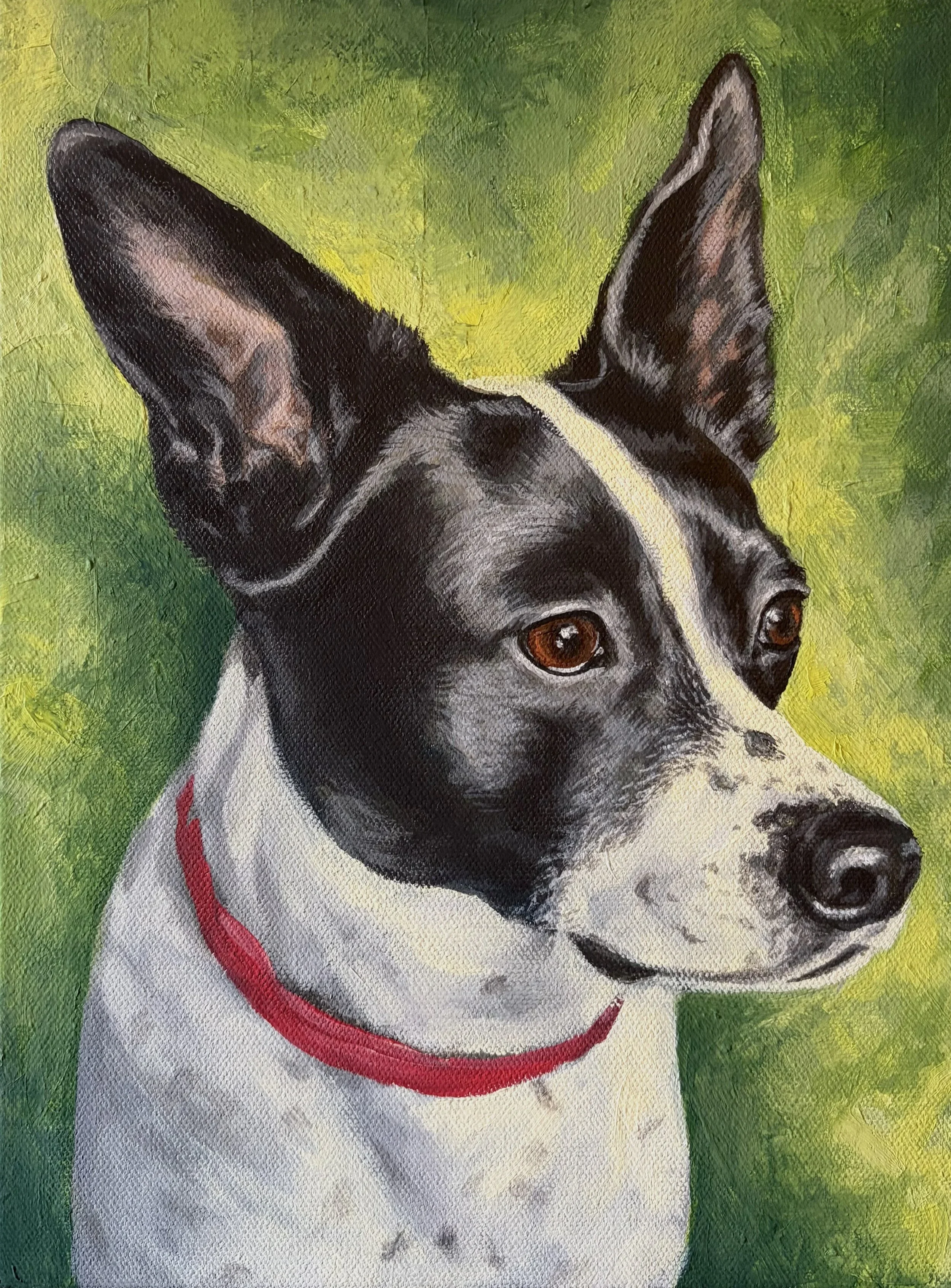 Oscar By Nicole McKinney, Oil Paint on canvas, 11 inches by 14 inches, Finished in September 2025.