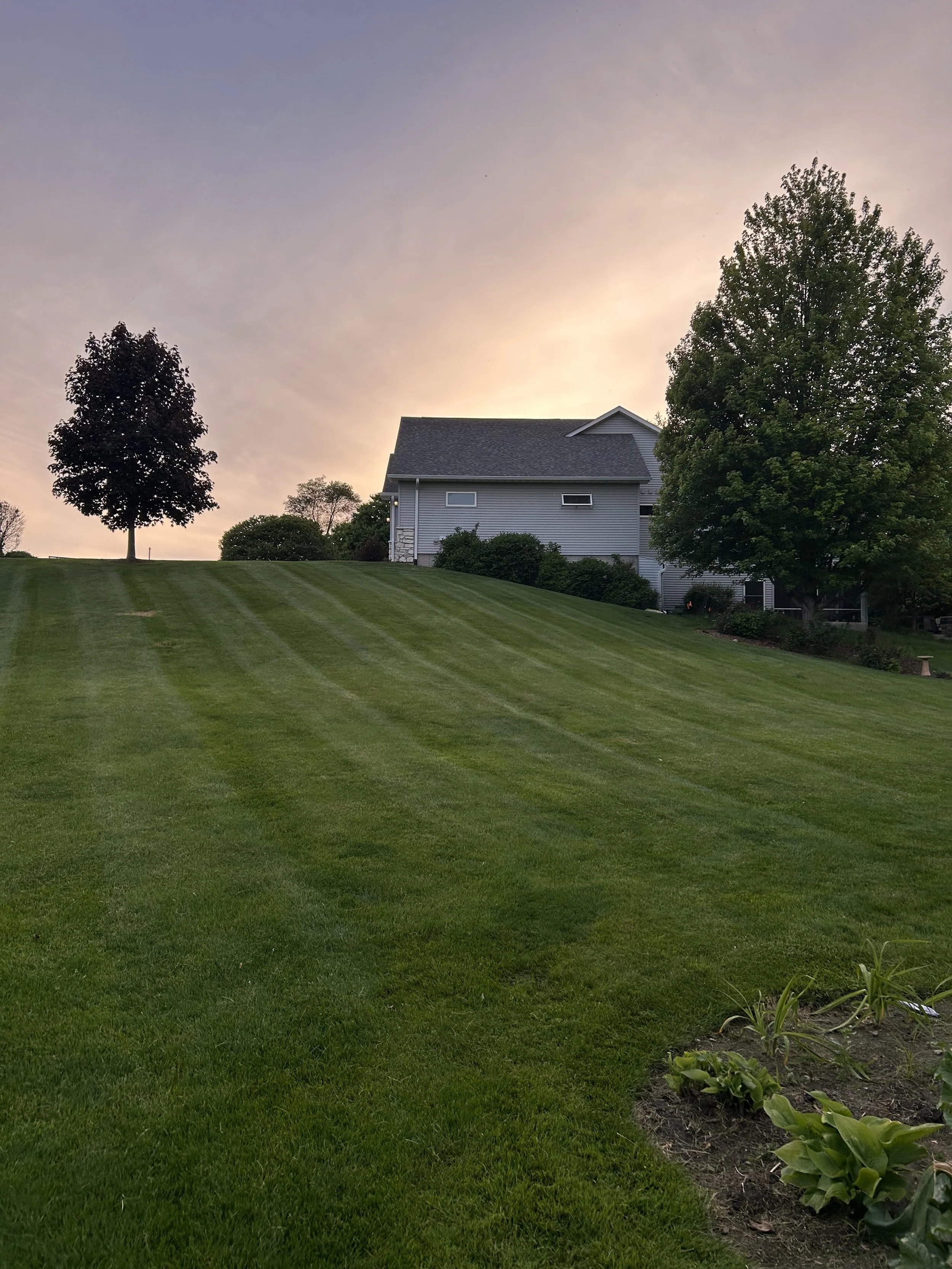 A backyard with a grassy lawn, a house in the background, tall trees, and a sky at sunset.
