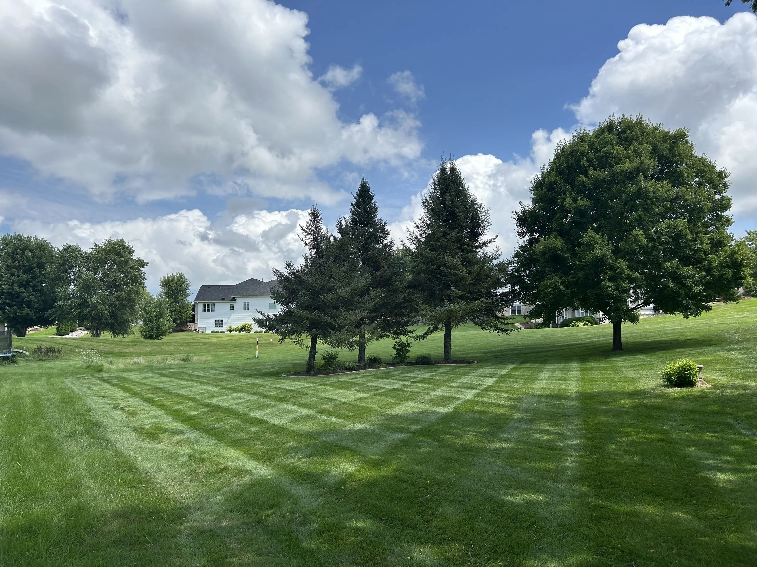 A well-maintained grassy backyard with trees, a house in the distance, and partly cloudy skies overhead.