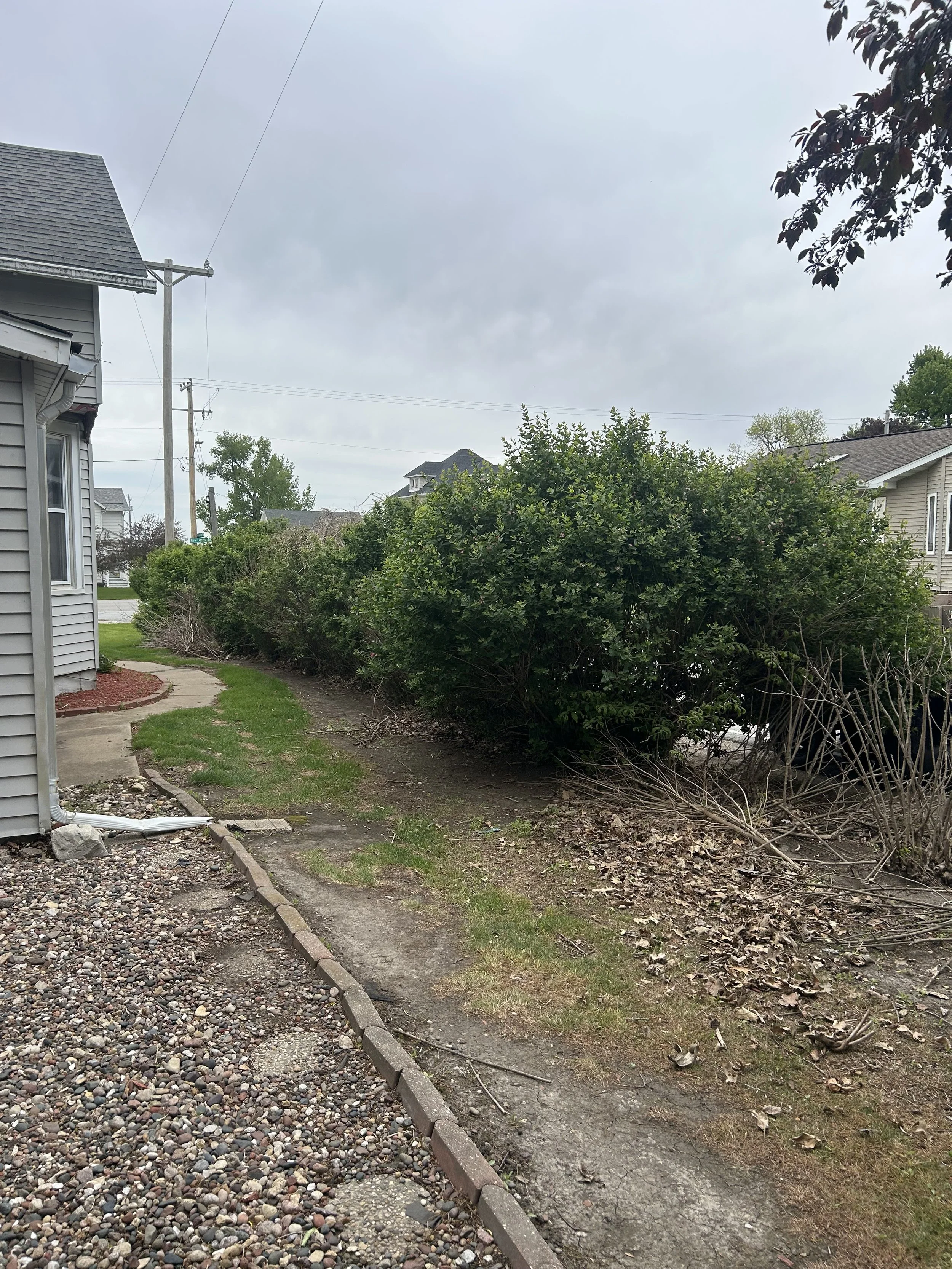 A residential backyard with a sidewalk, a lawn, a bush, a house with gray siding, a gutter, and part of a gravel driveway. Overcast sky with some dark clouds.