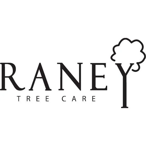 Logo for RANEY Tree Care with stylized tree and cloud design.