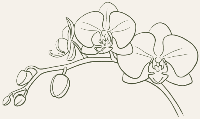 BITLR Orchid Motif