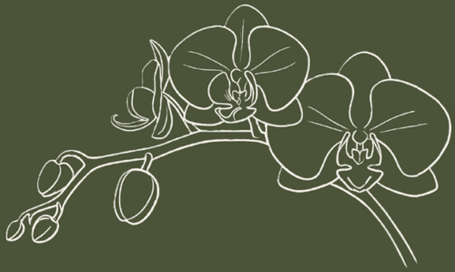 BITLR Orchid Motif