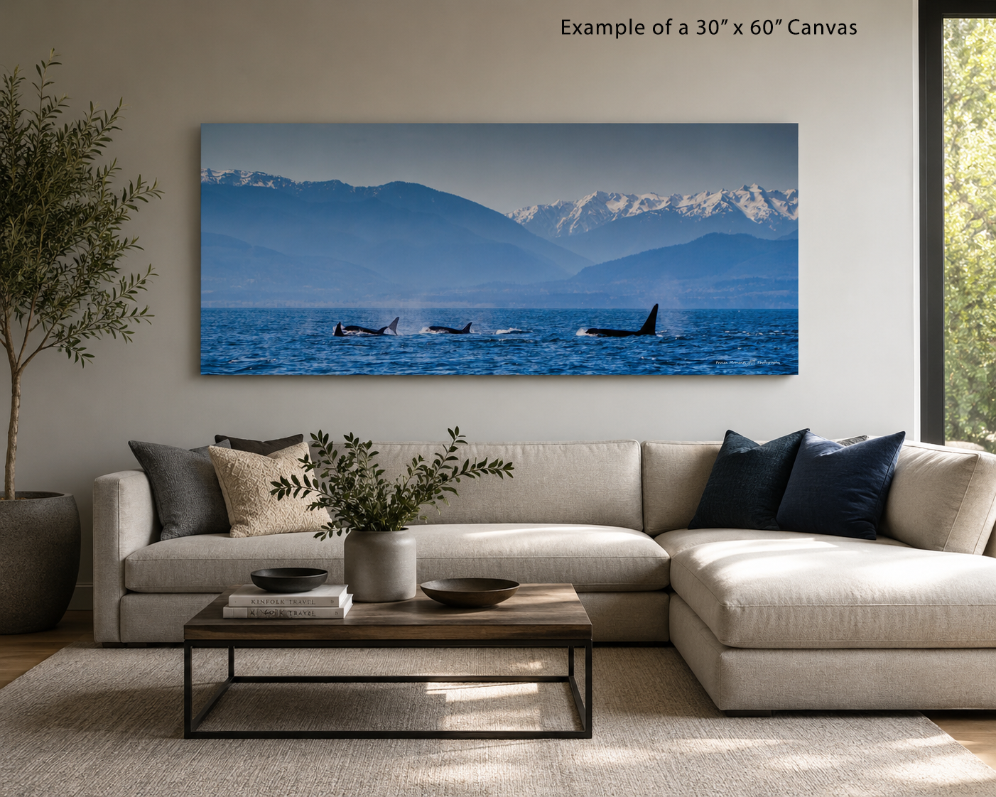 Orcas in the Strait example.png