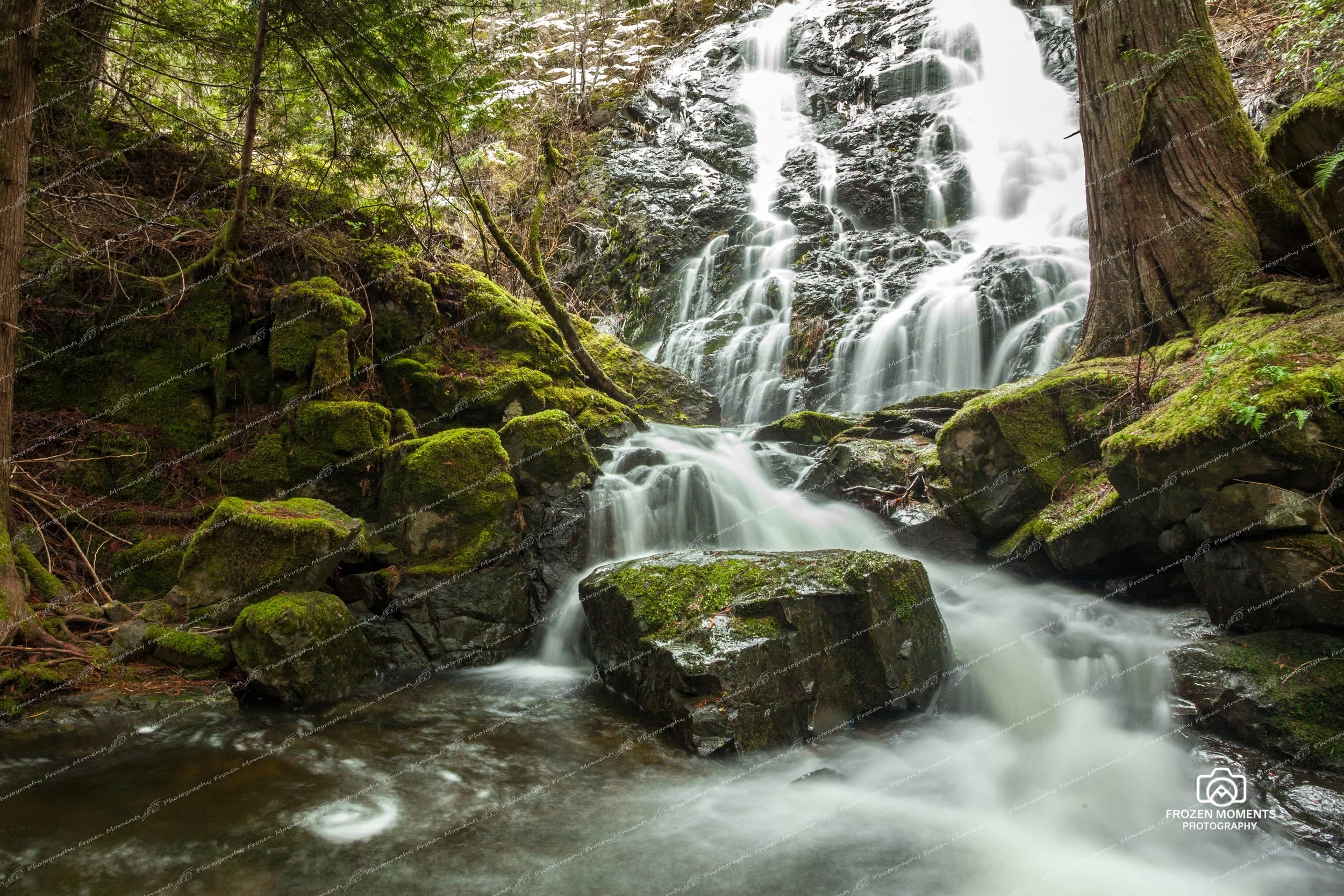 Mary+Vine+Waterfall+WM.jpg