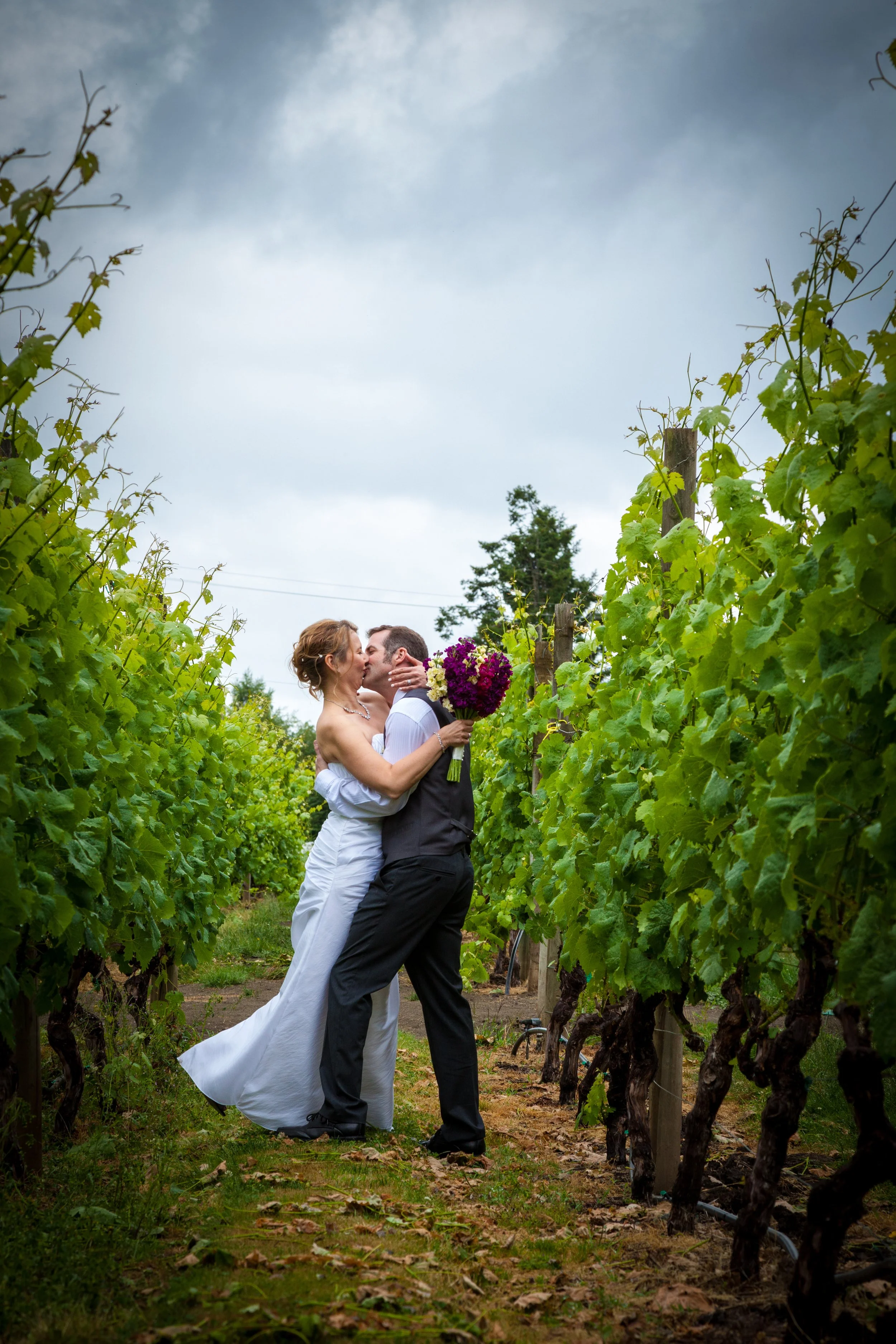 A bride and groom sharing a kiss in a vineyard, with the bride holding a bouquet of purple flowers, surrounded by green grapevines and overcast sky.