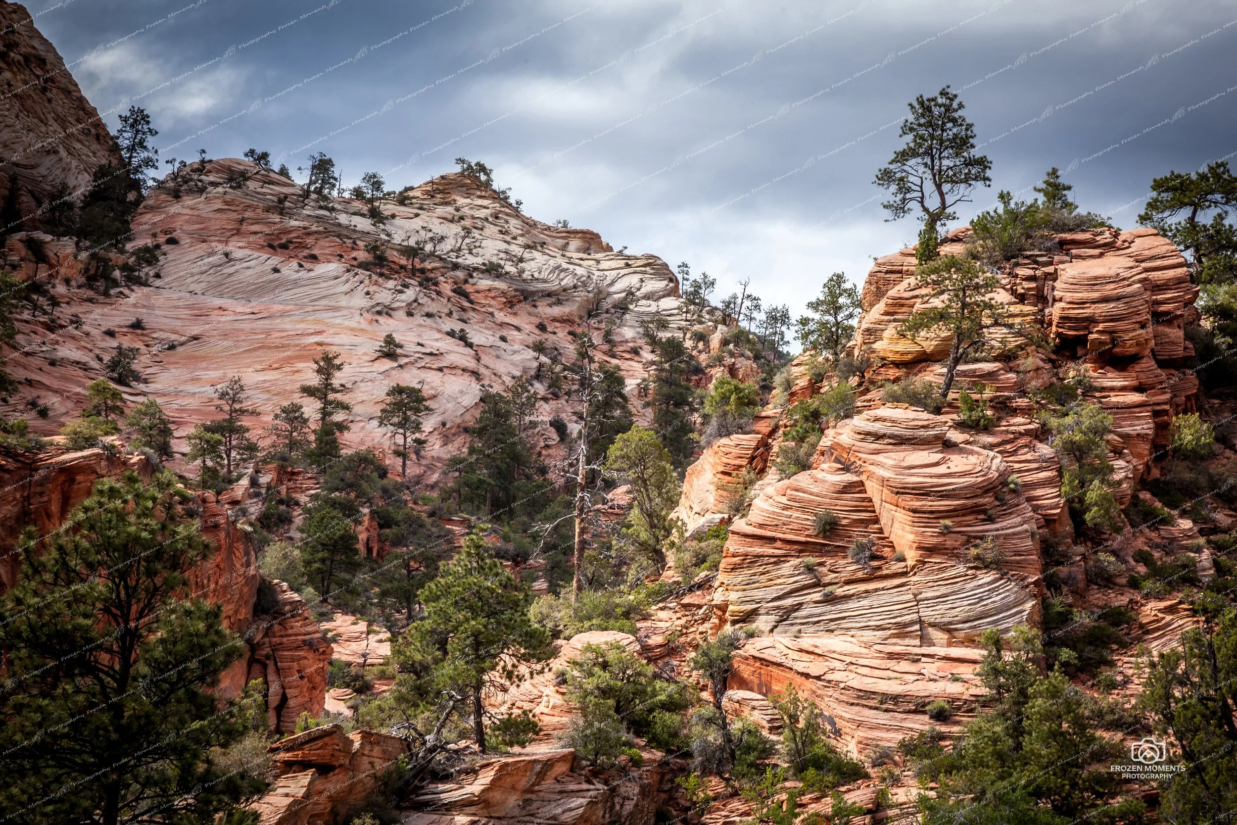 Zion