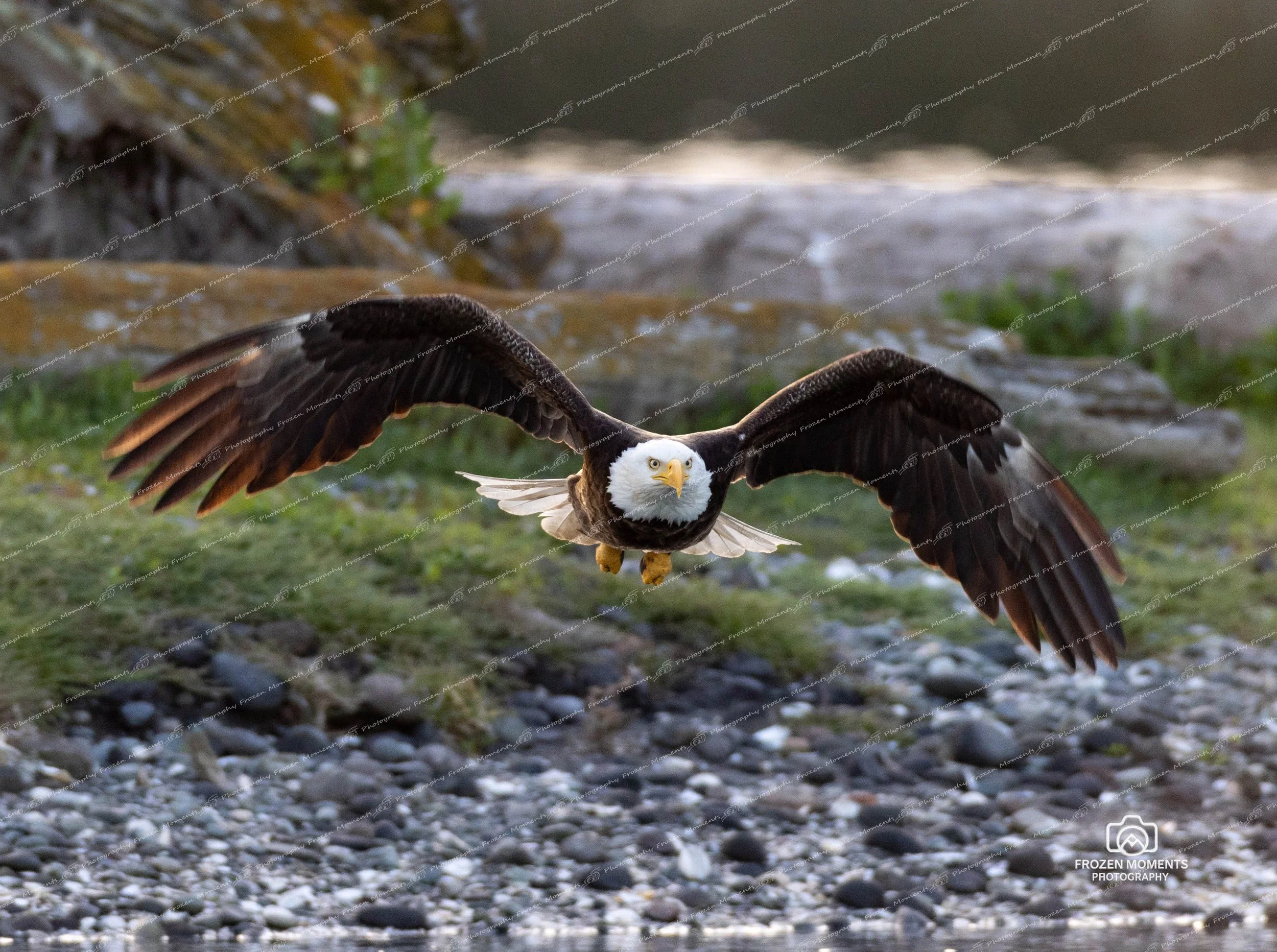 In Flight