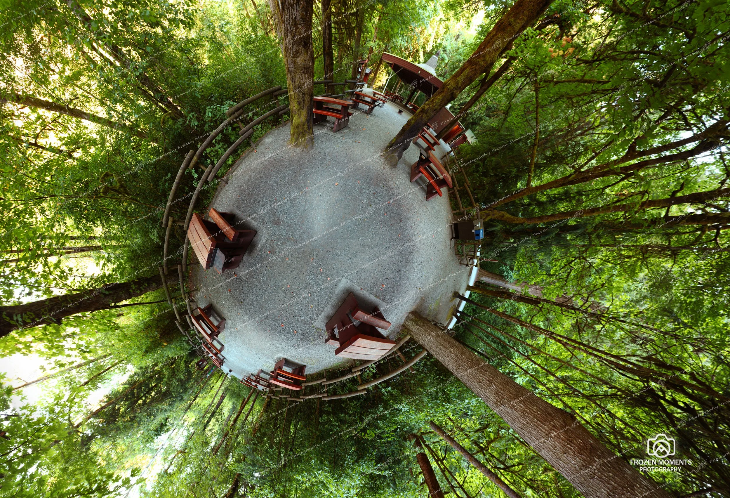 Goldstream Planet